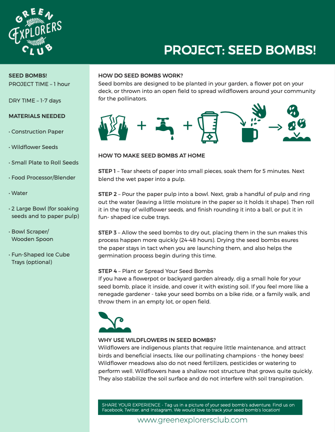 Green Explorers Club downloadable PDF project on Seed Bombs