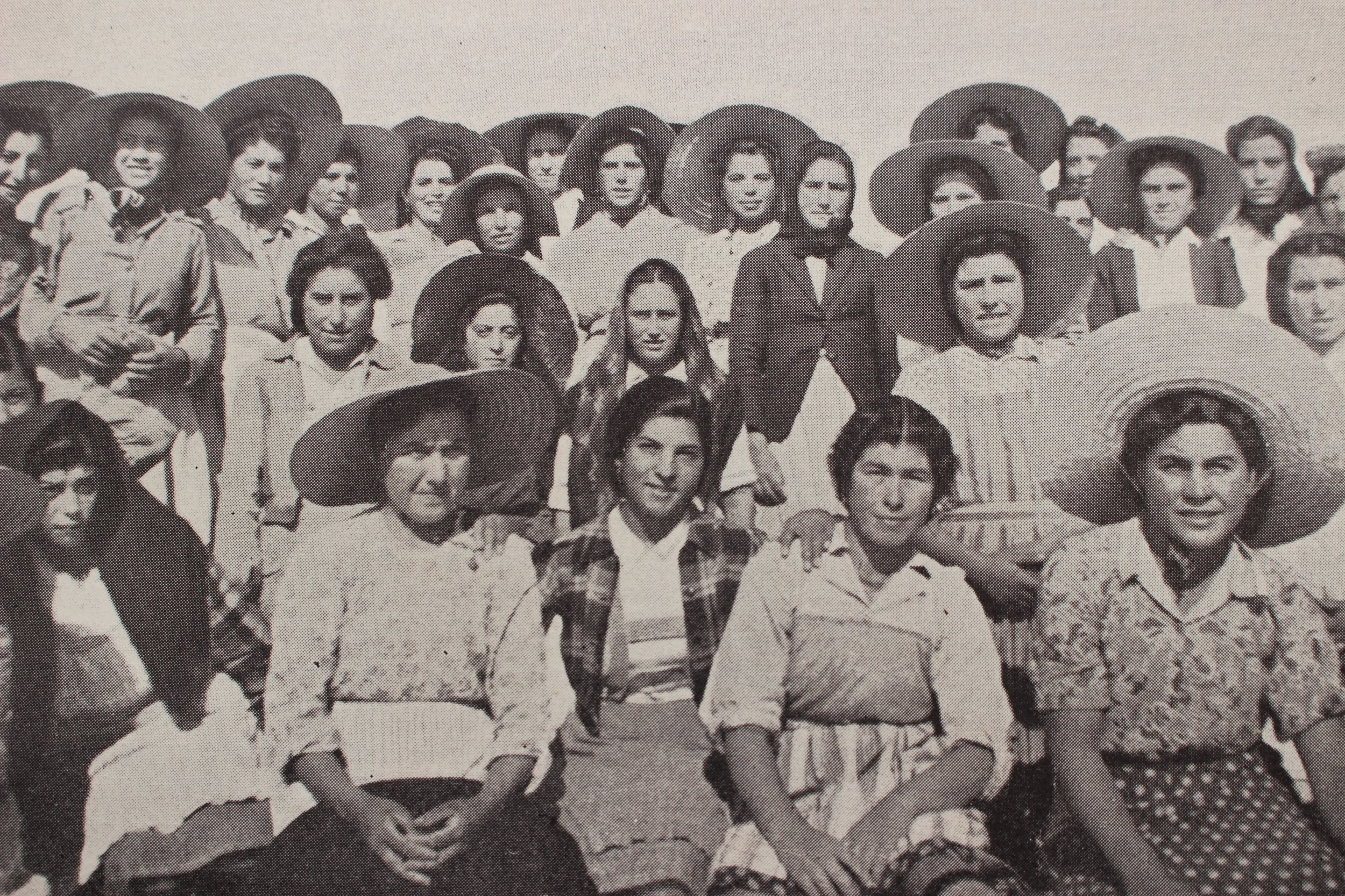 mulheres em terra.jpg
