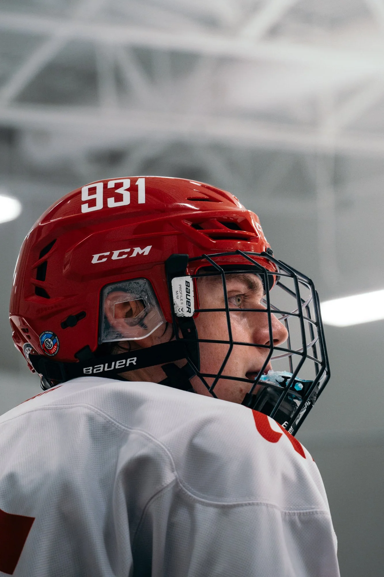 APSU Hockey Team