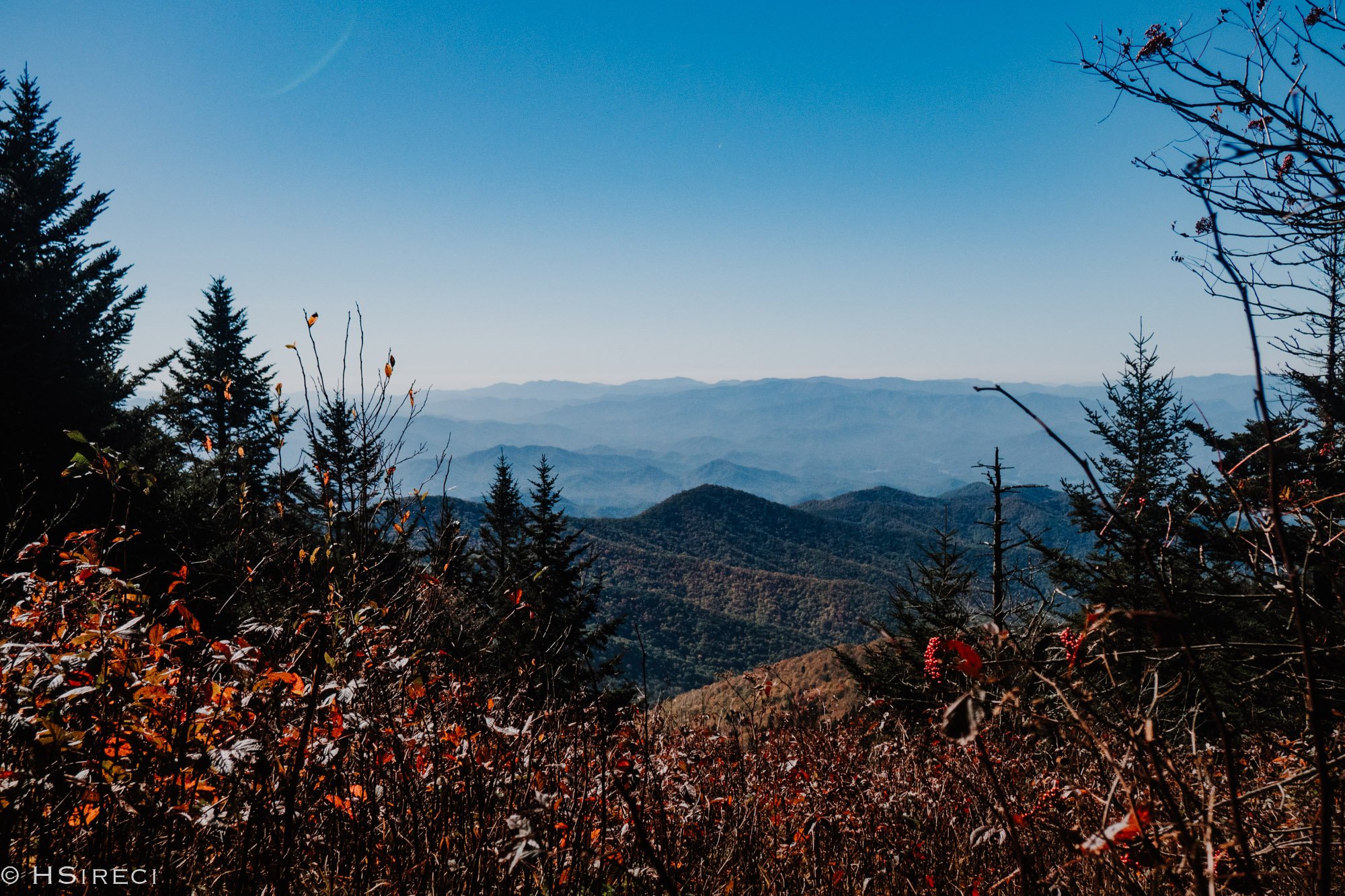 The Smokies, TN, 2024