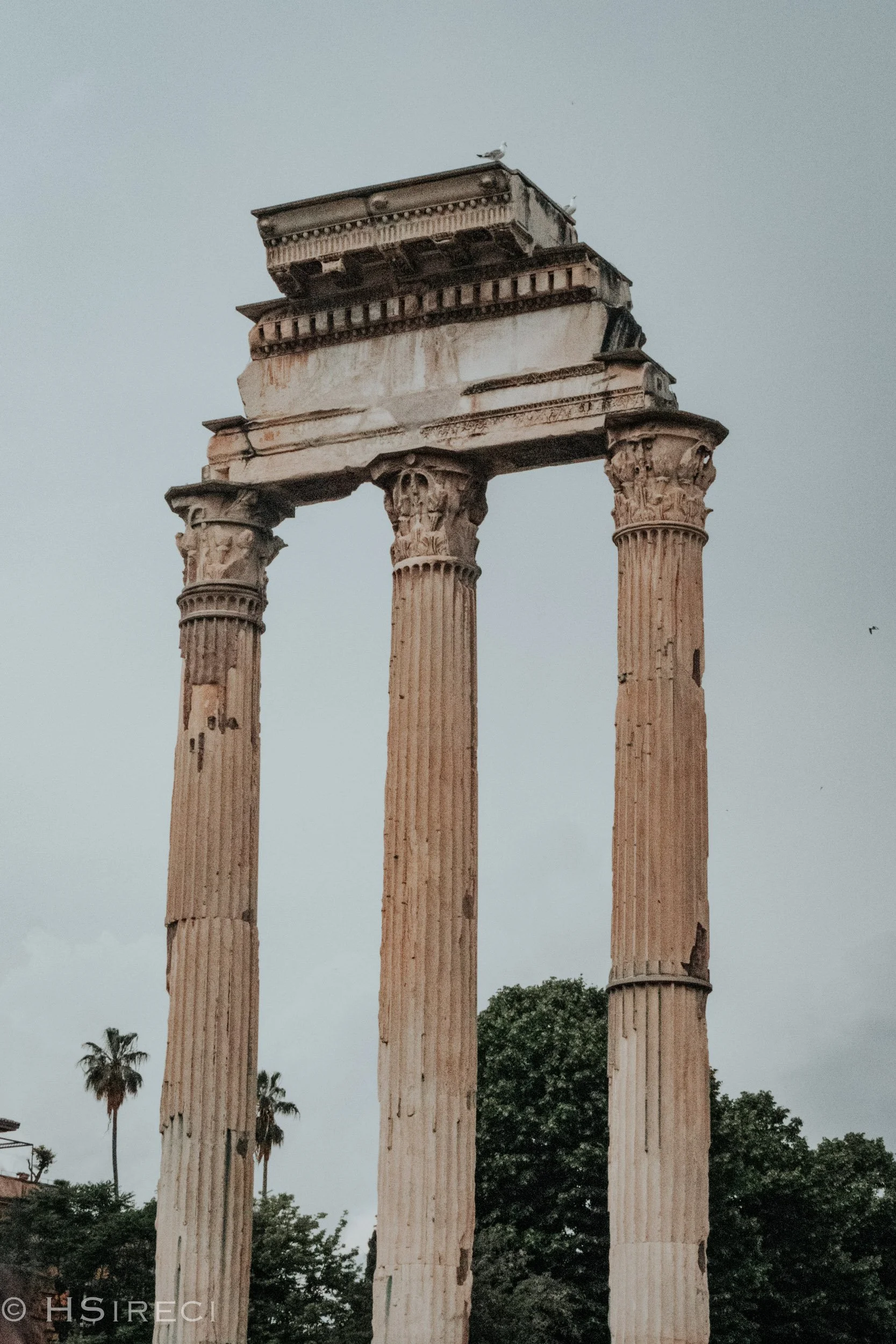 Roman Forum, Rome, 2023