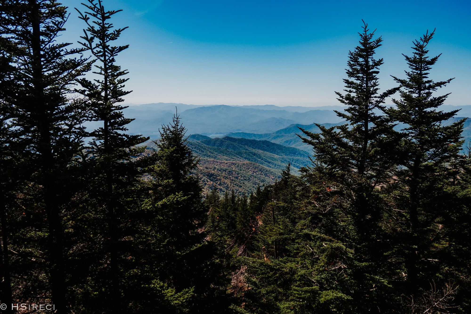 The Smokies, TN, 2024