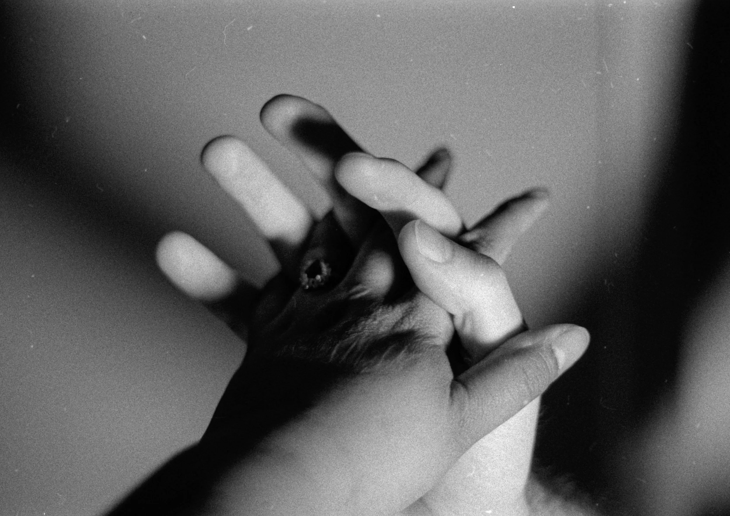 In the Hollow of his Hands II , 2025