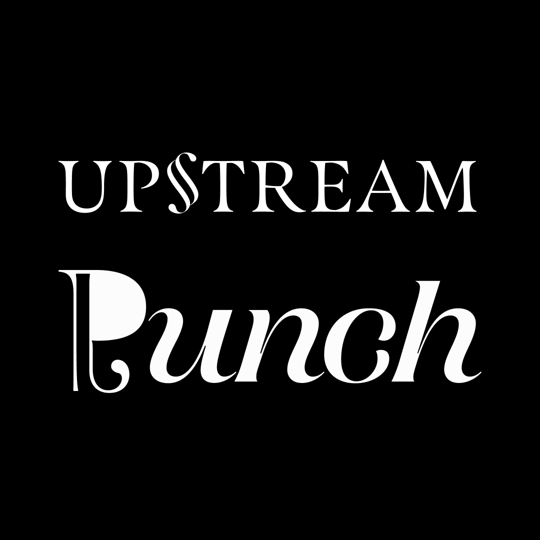 Upstream & Punch Covers