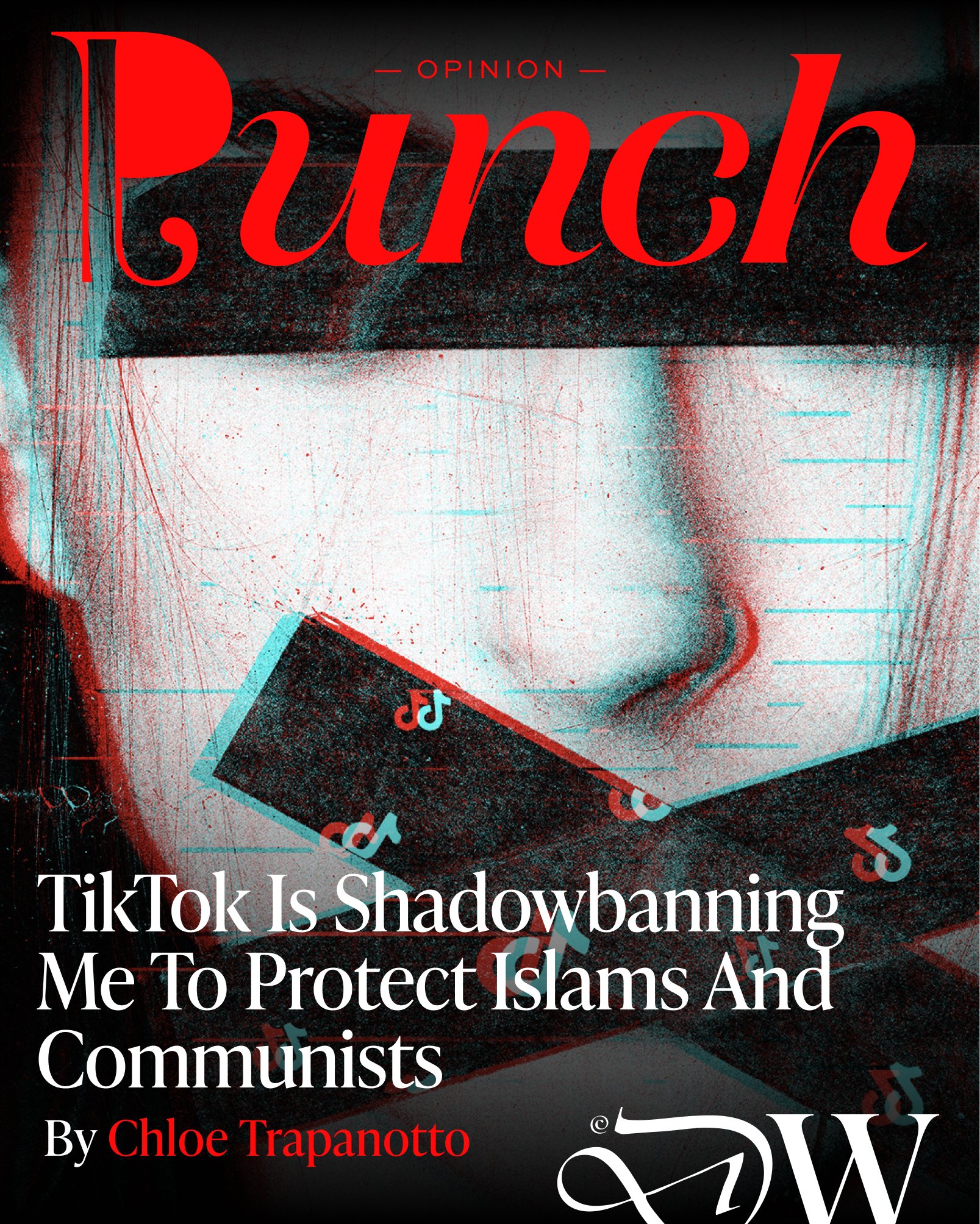 Punch -TiktokShadowban.jpg
