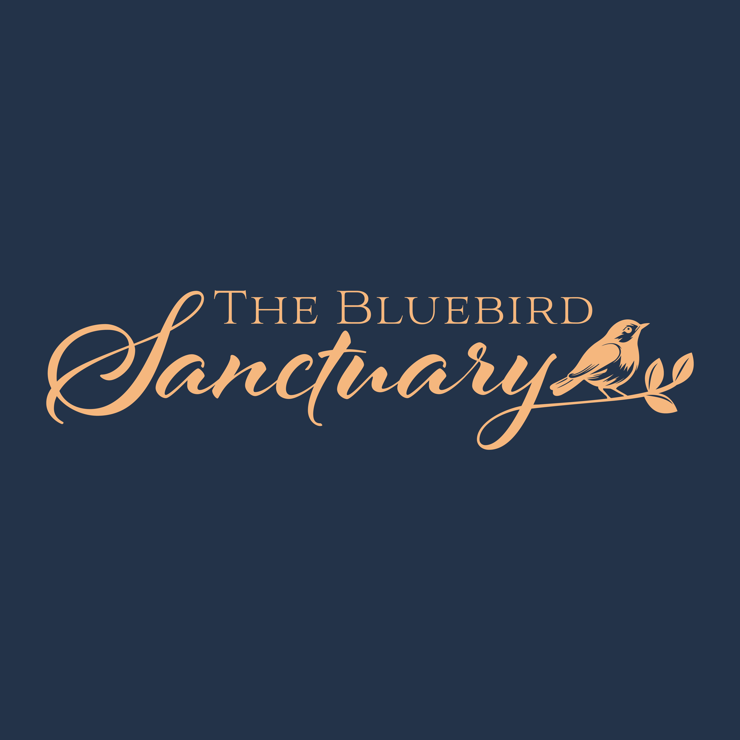 Logo Showcase- For Squarespace-05.png
