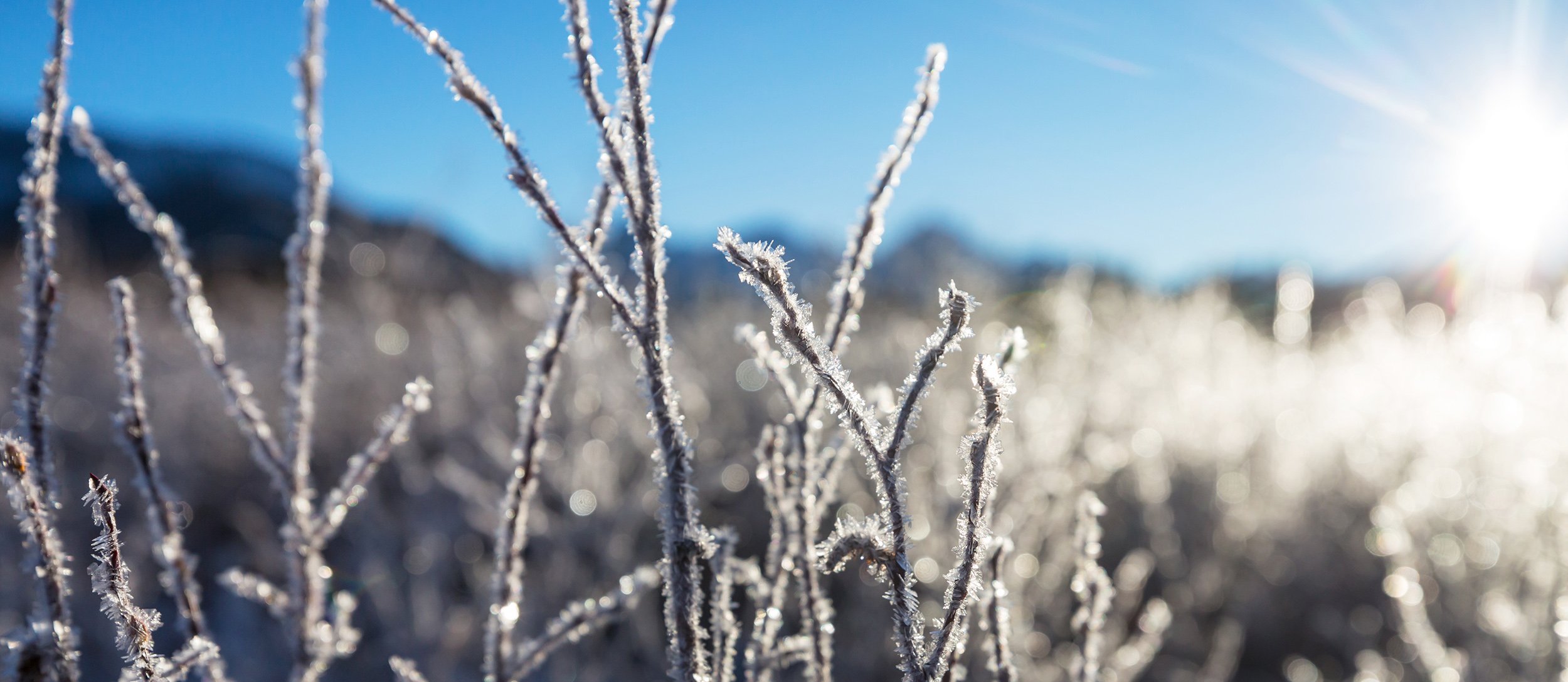 Vanuit de praktijk: Vitamine D