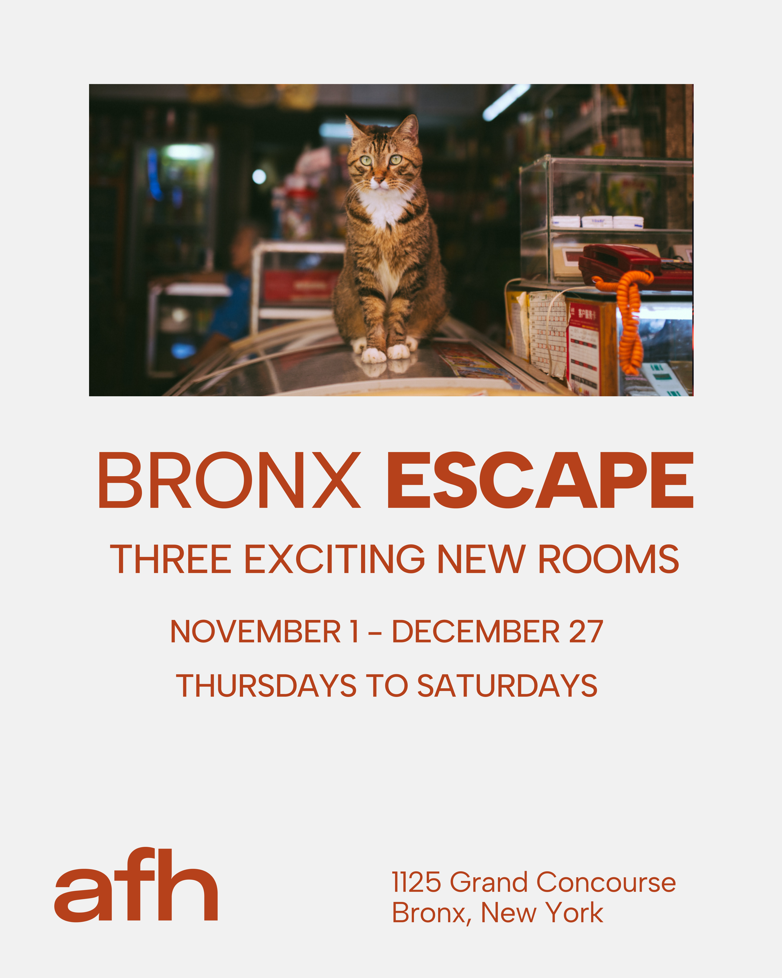 Bronx Escape Room 
