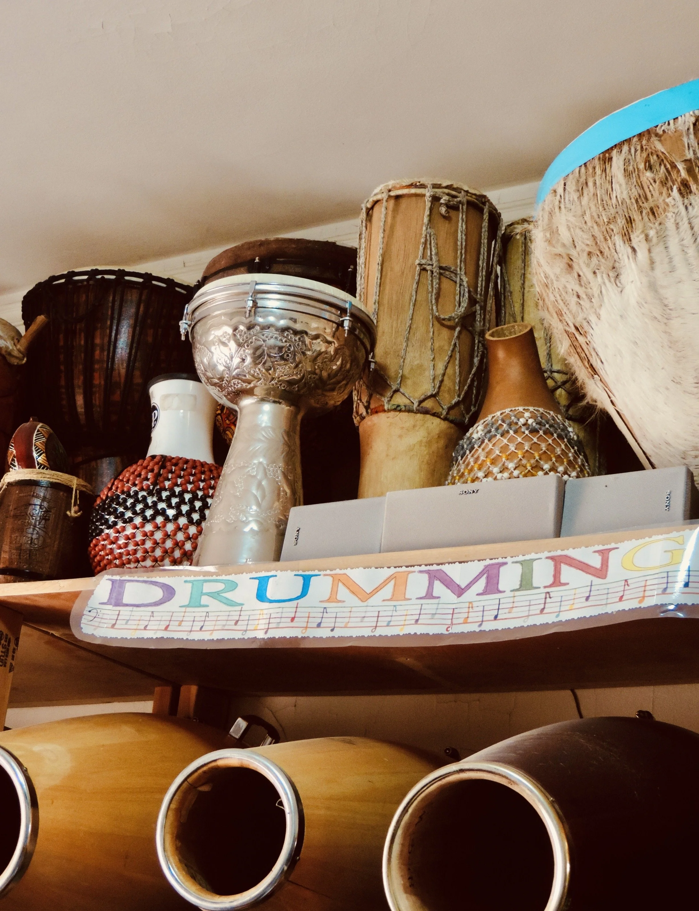 Drumology by Doctor Drum (Copy) (Copy) (Copy)