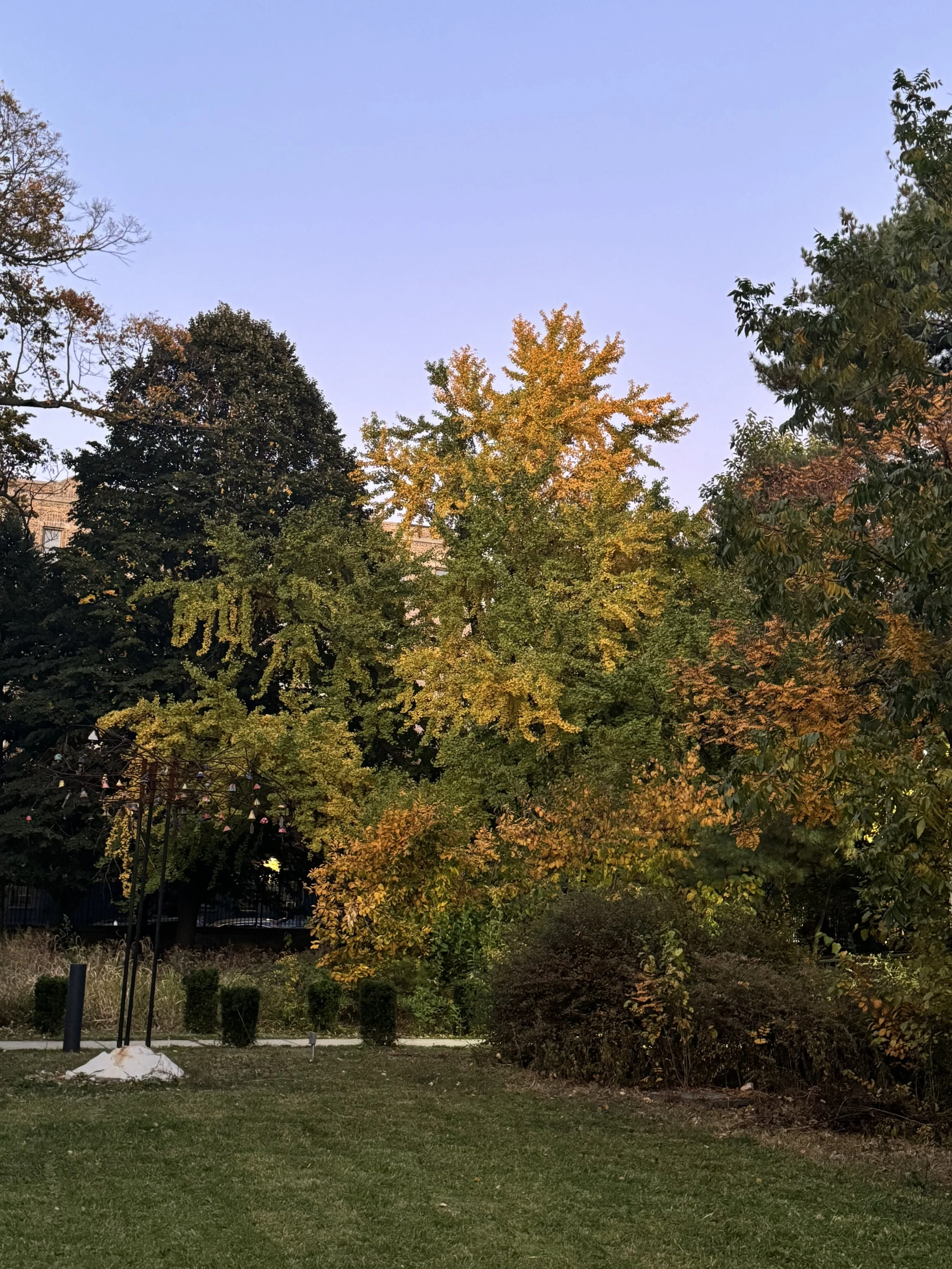 IMG_6530.jpeg