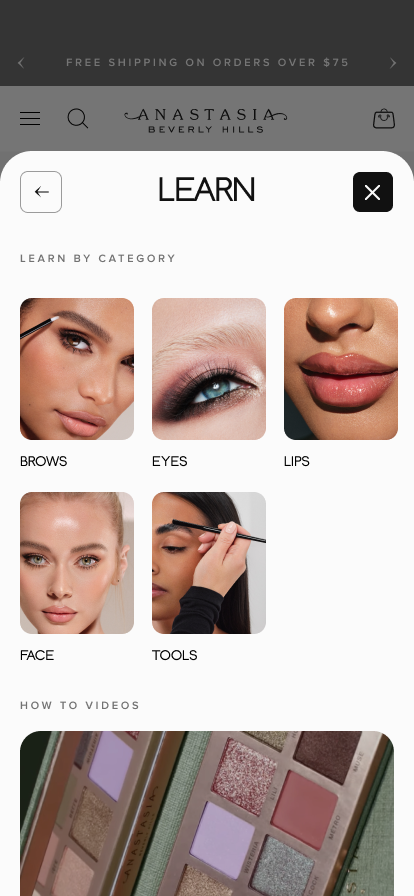 ABH - Learn Menu.png