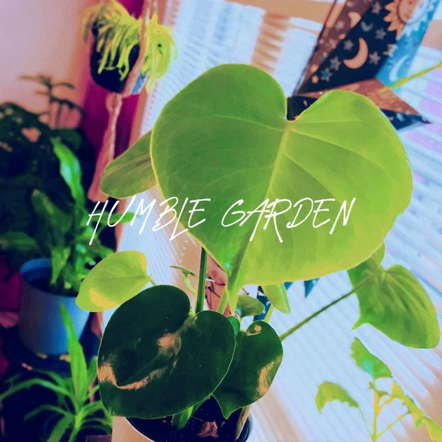 Humble Garden_album_cover.jpg