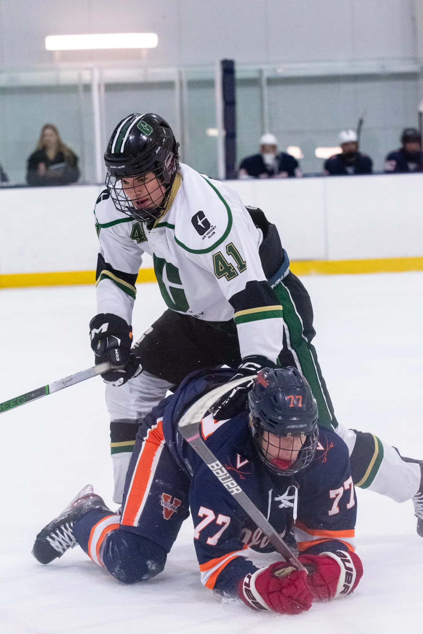 website 12.1.25-36.jpg