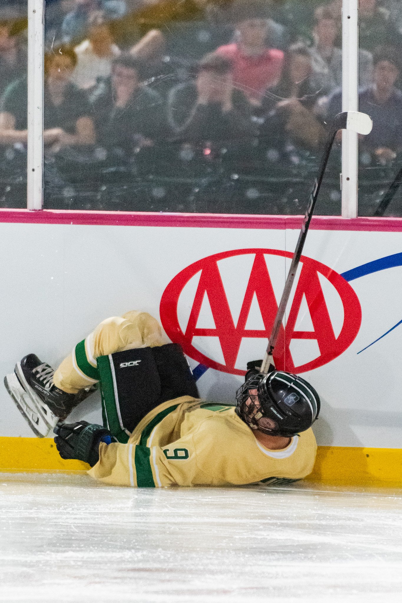 website 12.1.25-17.jpg