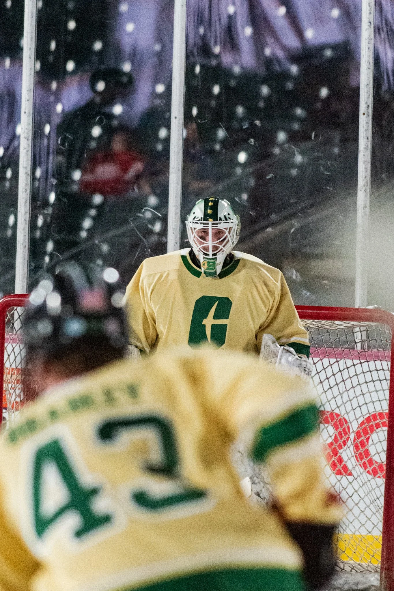 website 12.1.25-18.jpg