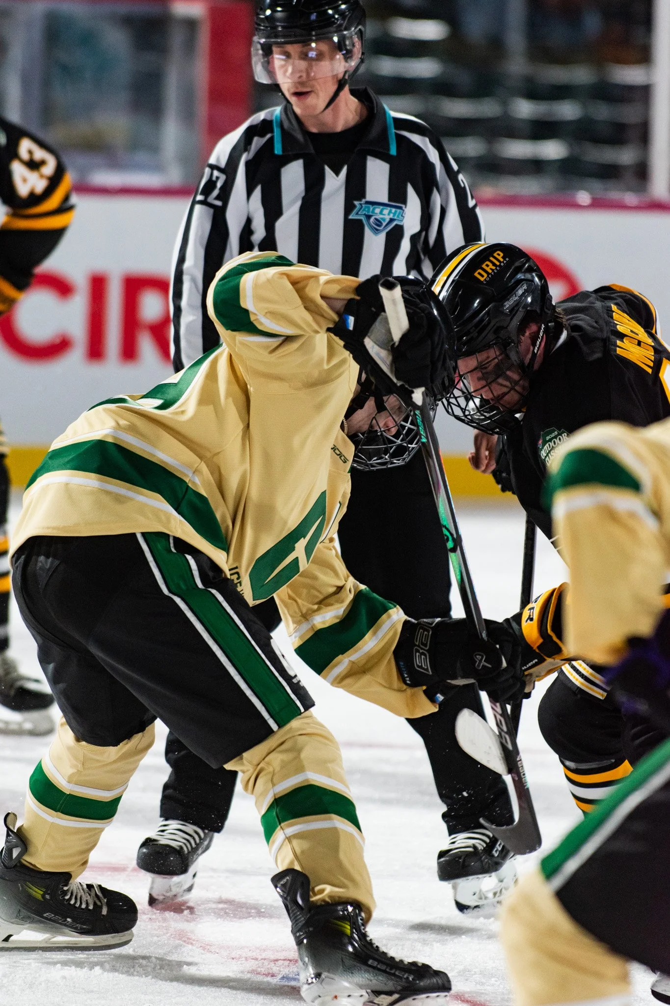 website 12.1.25-07.jpg