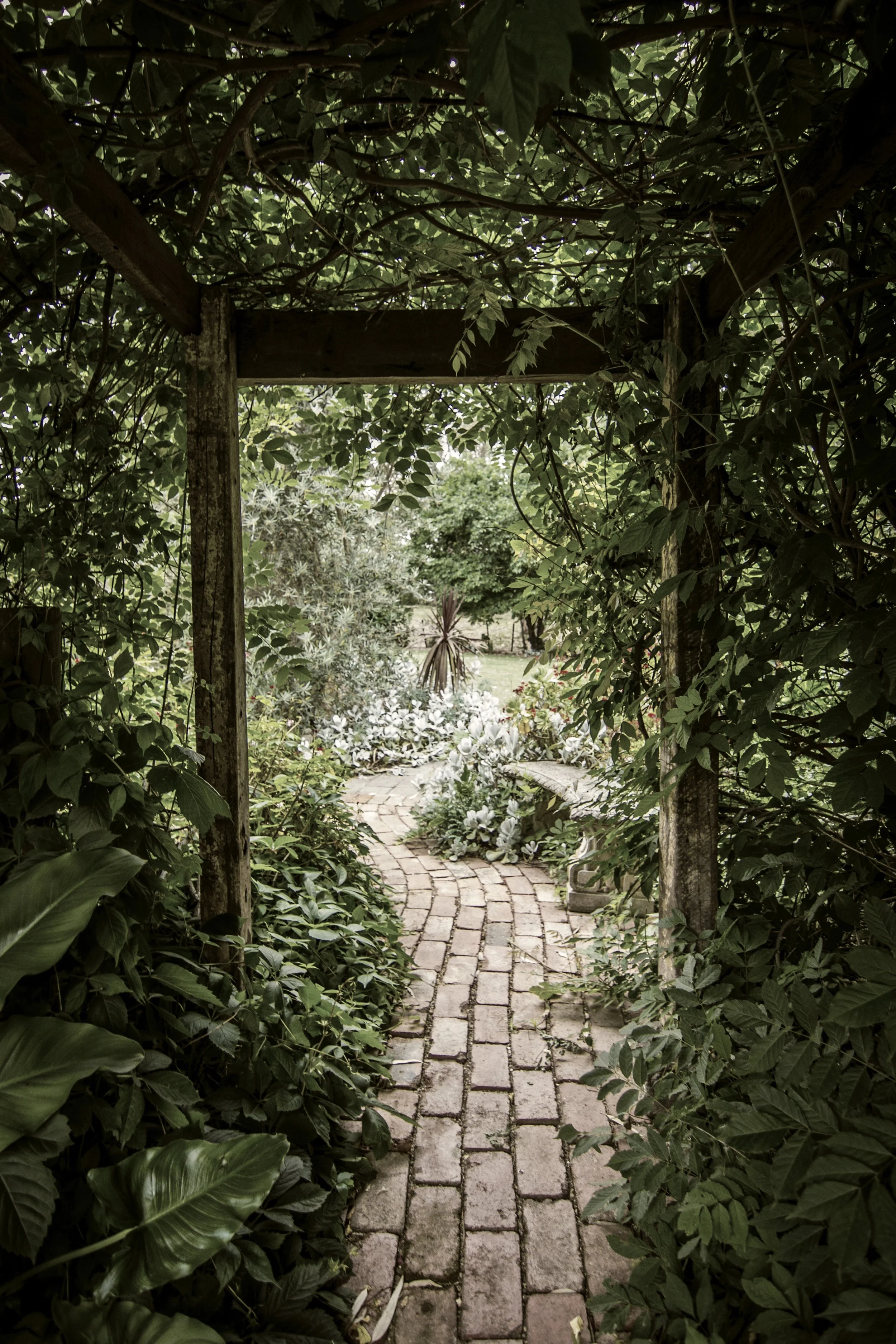 Peaceful landscape representing hope and healing through trauma and PTSD therapy in North Carolina