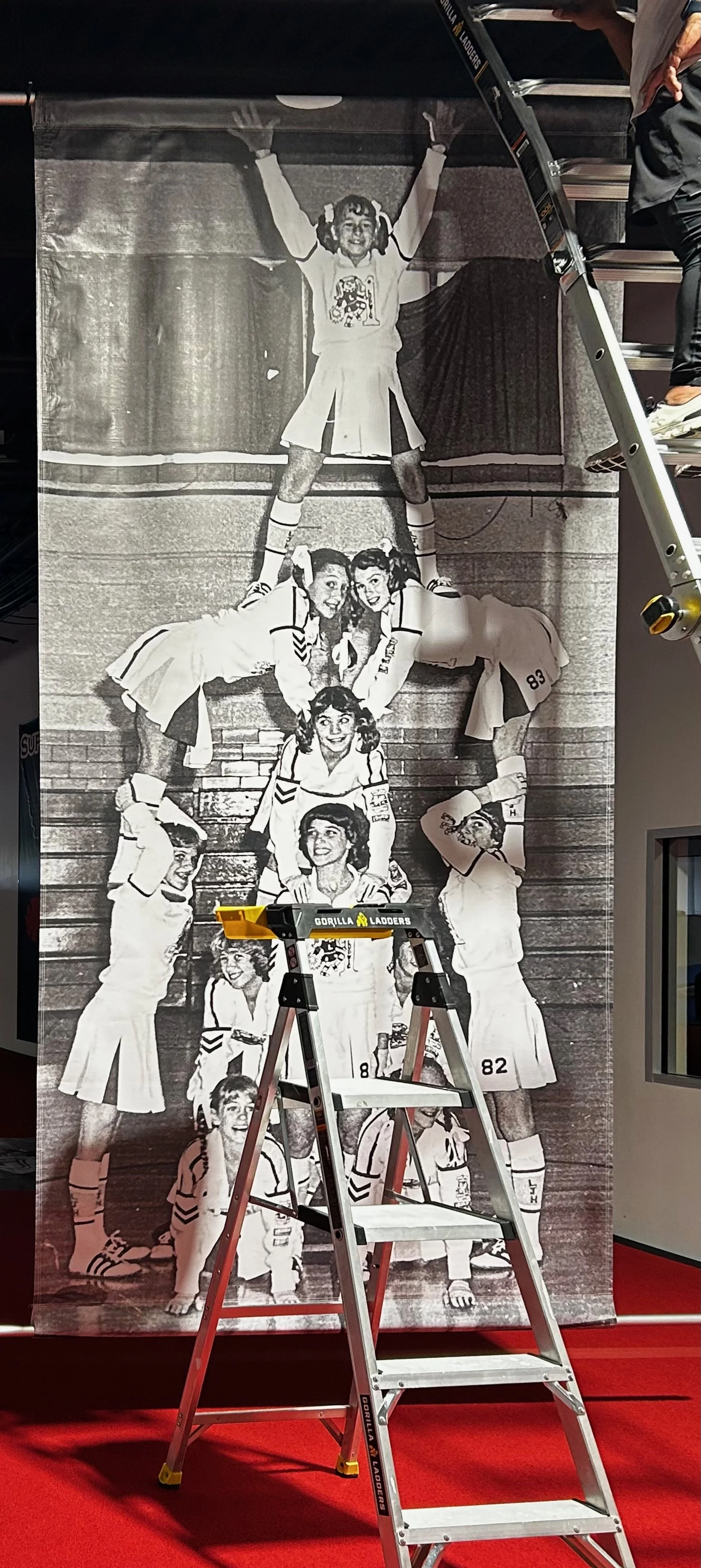 Large banner from Ludwig High School