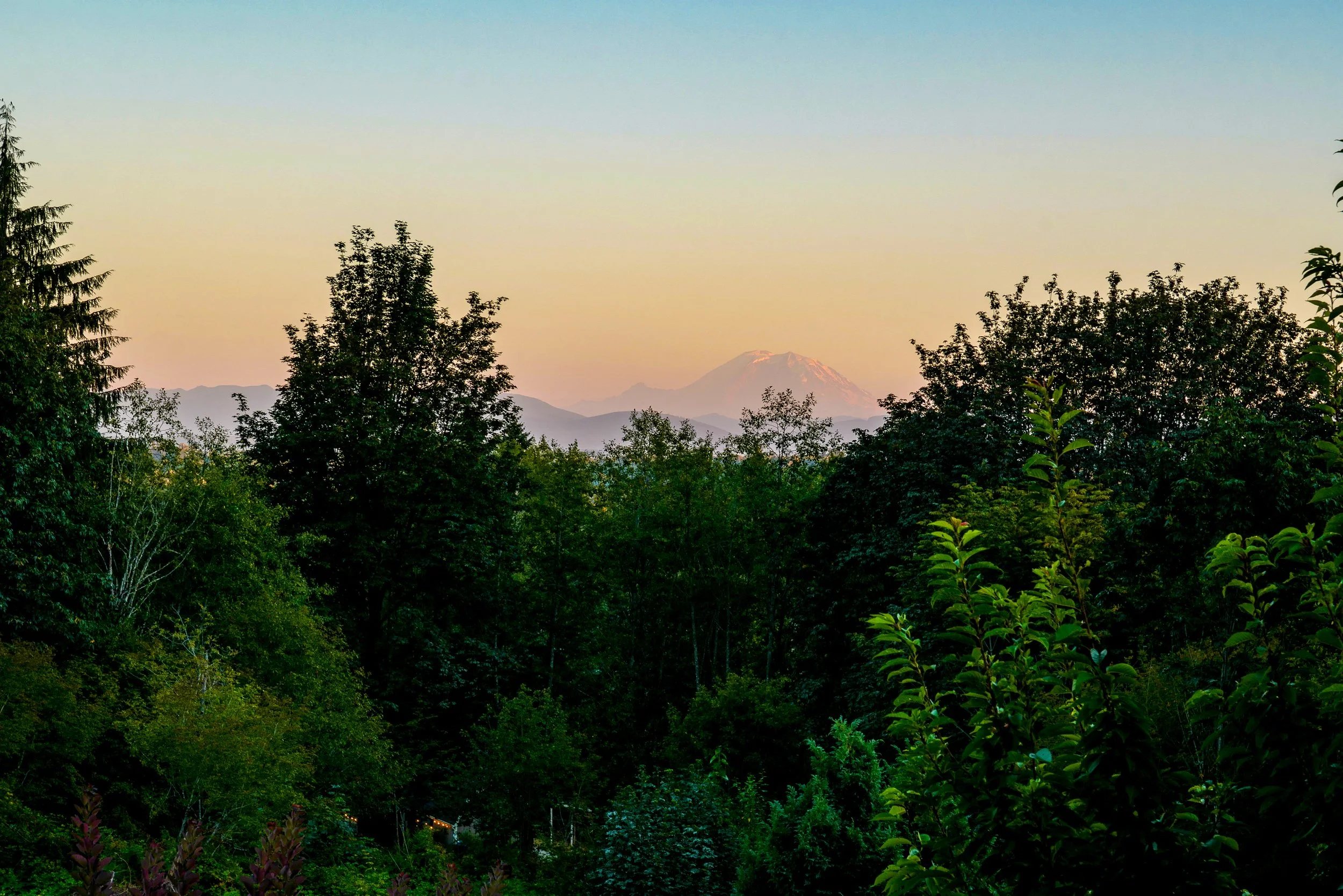 099-18617_DennonVisuals99.jpg