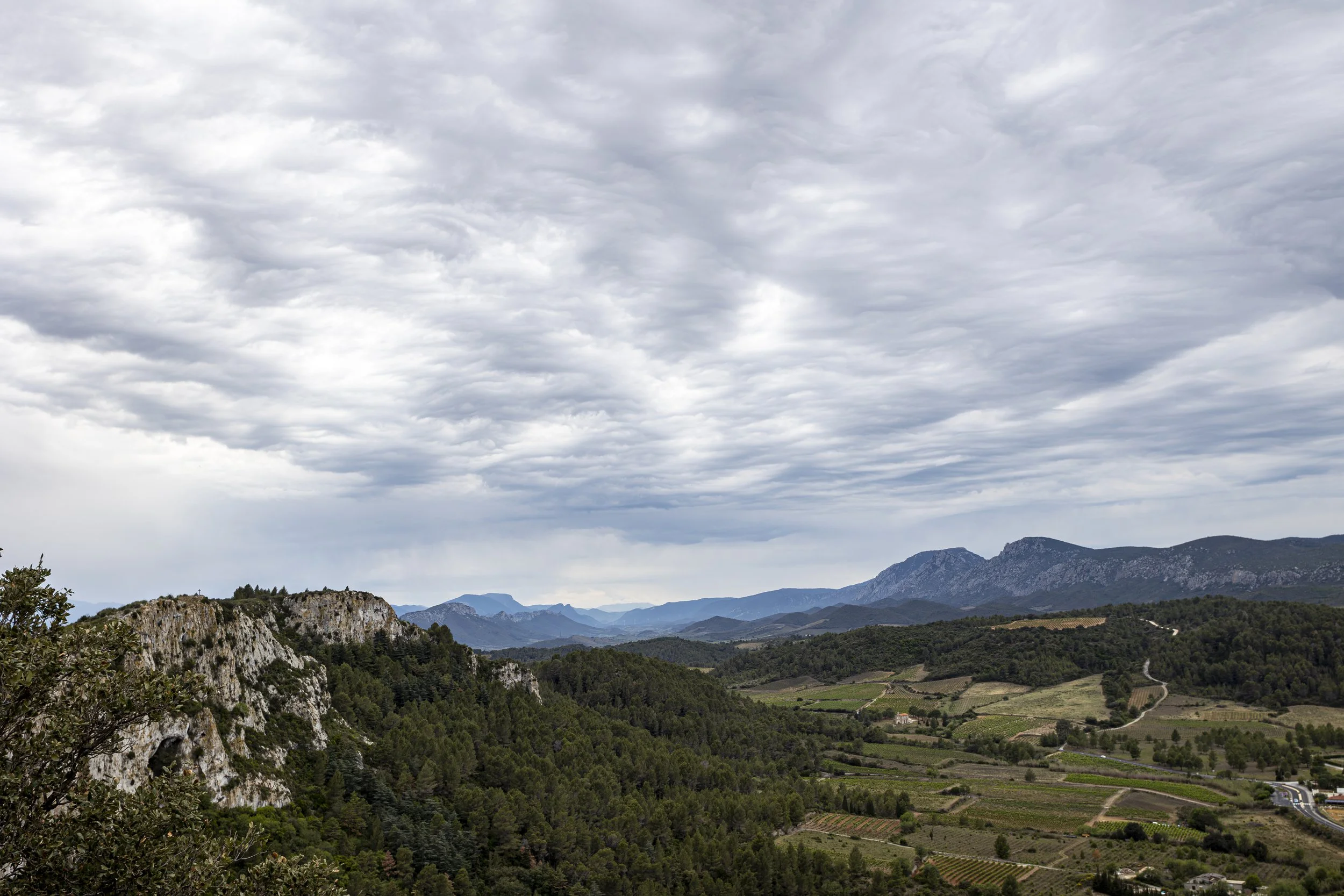 _O6A8313-Улучшено-Ум. шума.jpg