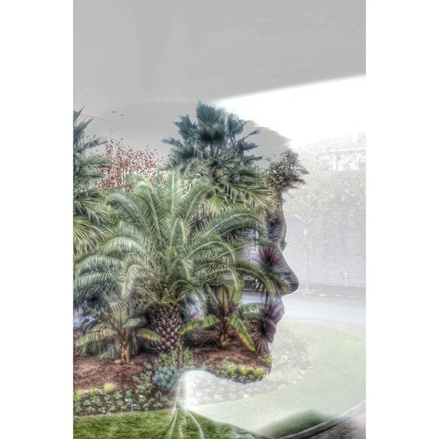 #multiexposure #canon6d  #palme.jpg