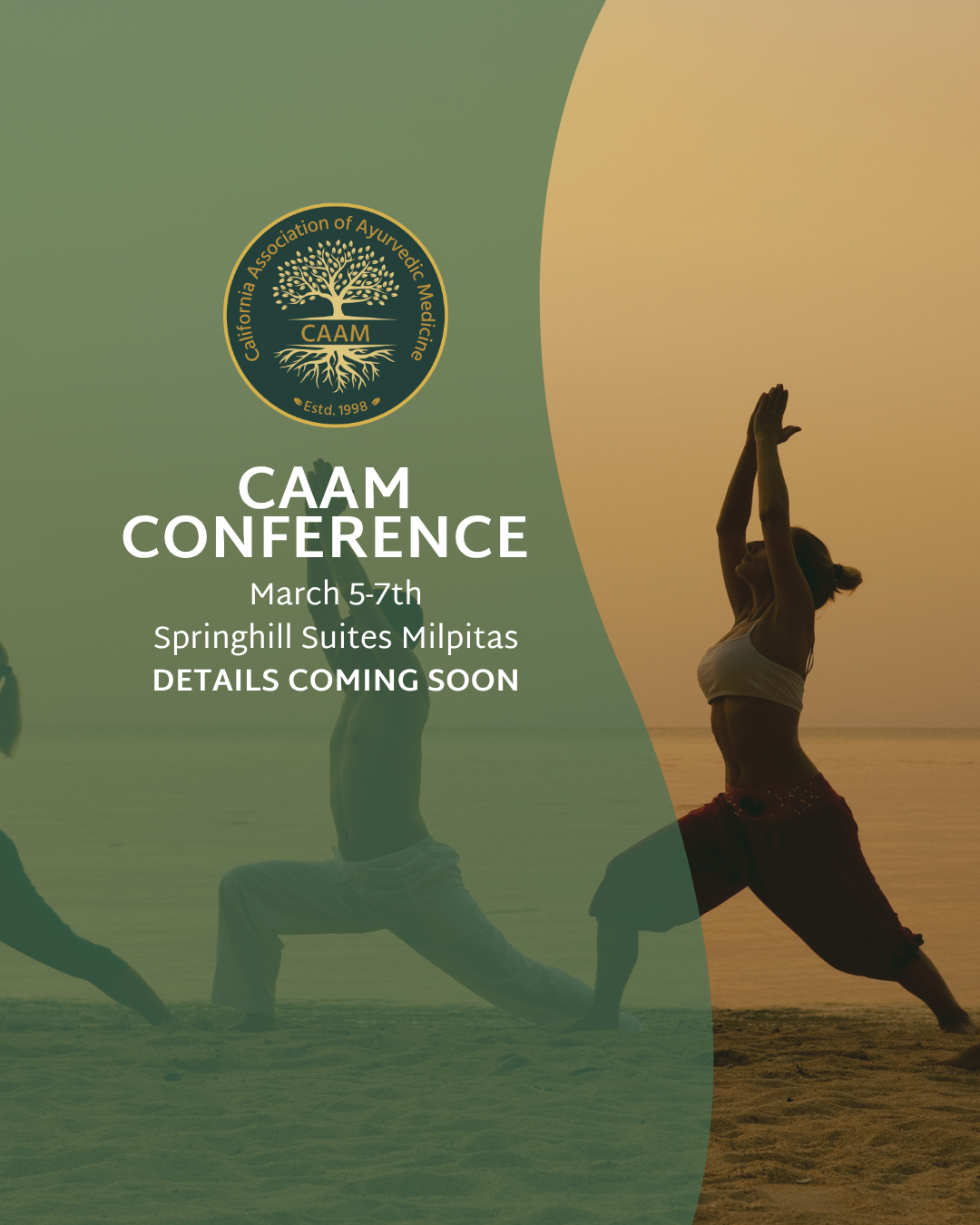 CAAM CONFERENCE 2027