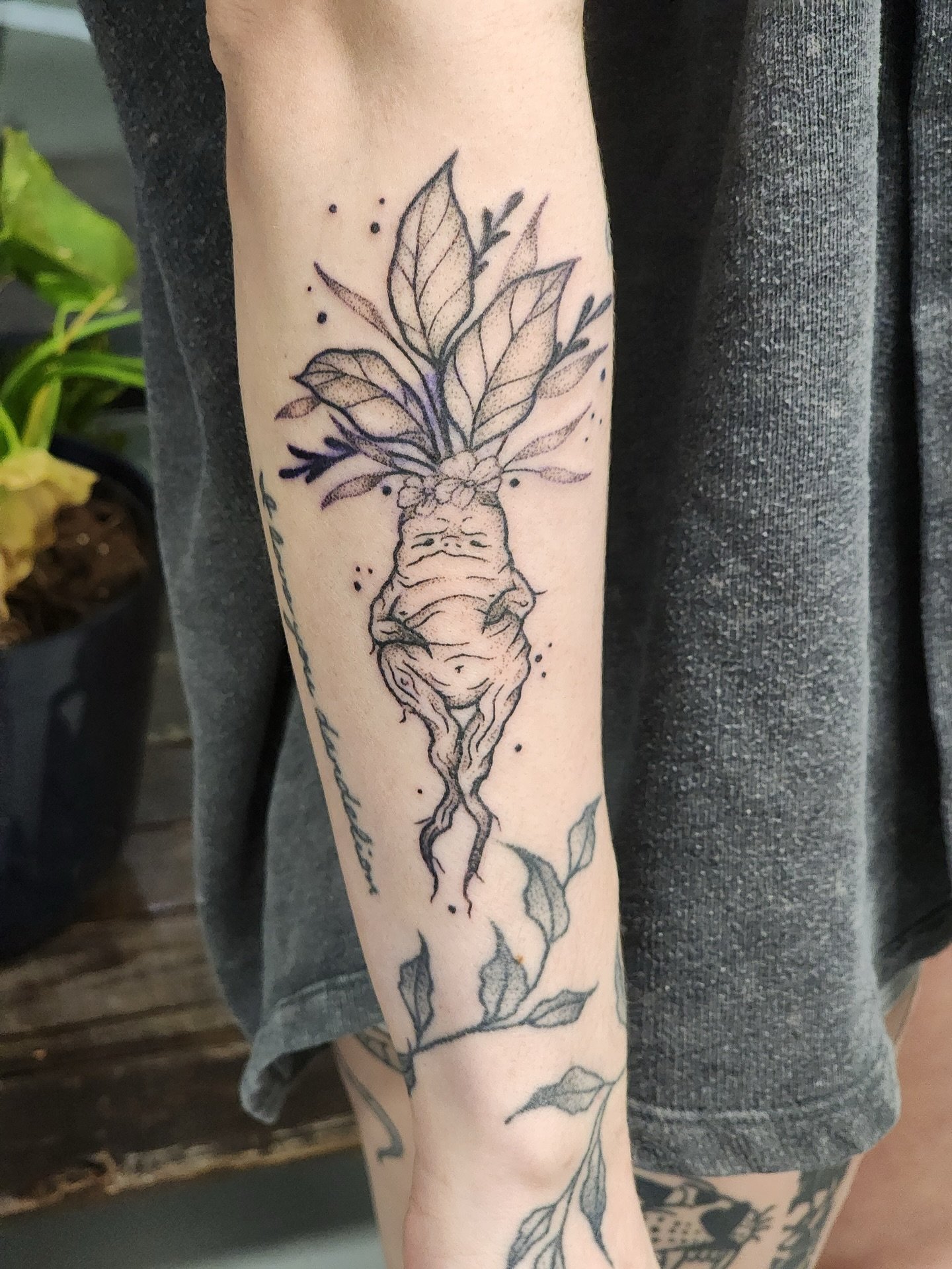 This grumpy little mandrake root was designed and tattooed by Ramiah. She enjoys creating all sorts of little creatures with her art, and can&rsquo;t wait to see them in skin.

Shoot us a DM to get on her books!

#handpoke #femaletattooartist #theapo