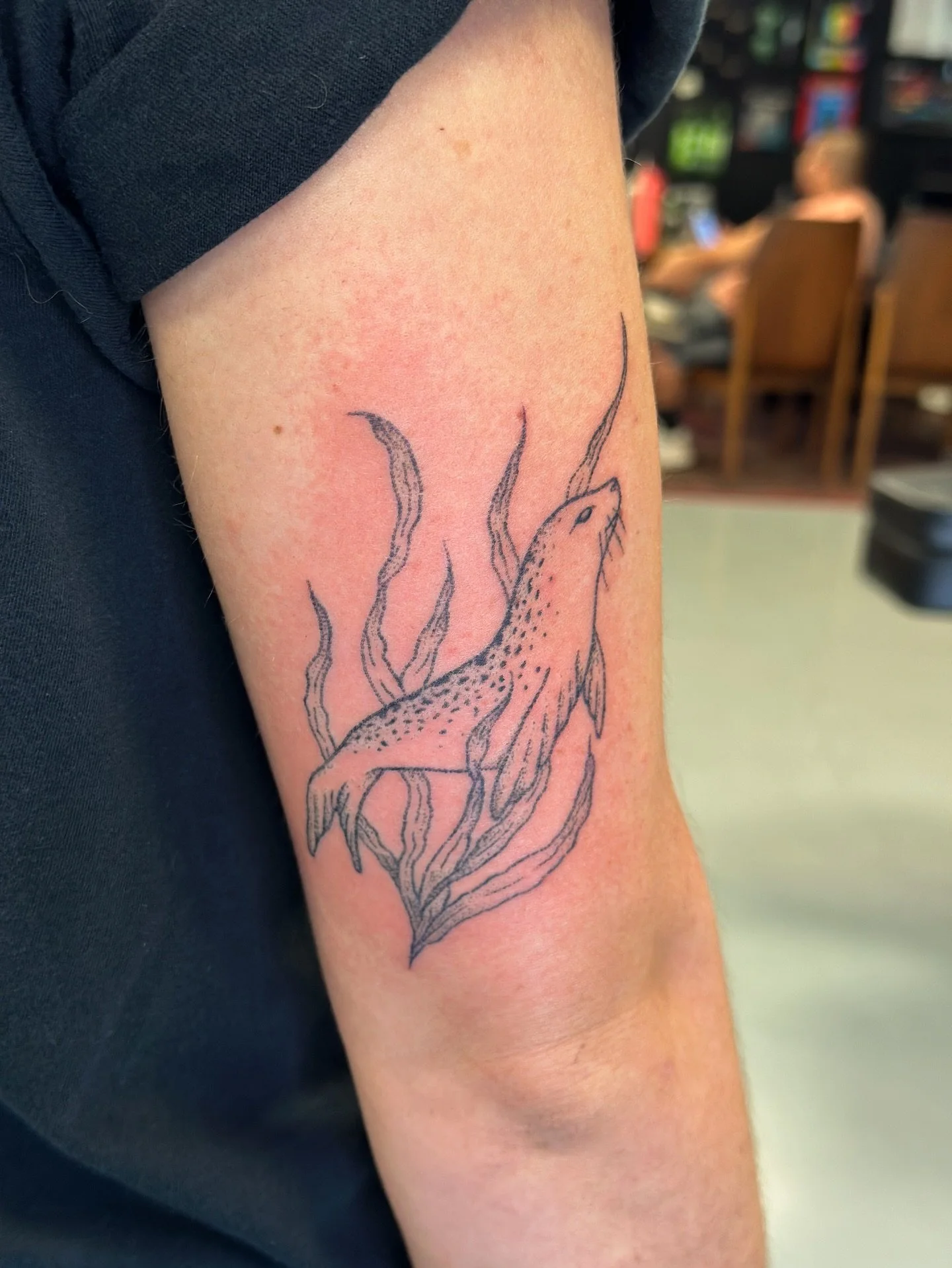 A seal designed and tattooed by Katie for Sydney.

Shoot us a DM to get on the books with Katie for your next nature themed tattoo.

#handpoke #dotwork #femaletattooartist #naturetattoo #sealtattoo #womenowned #nonelectric #oceantattoo