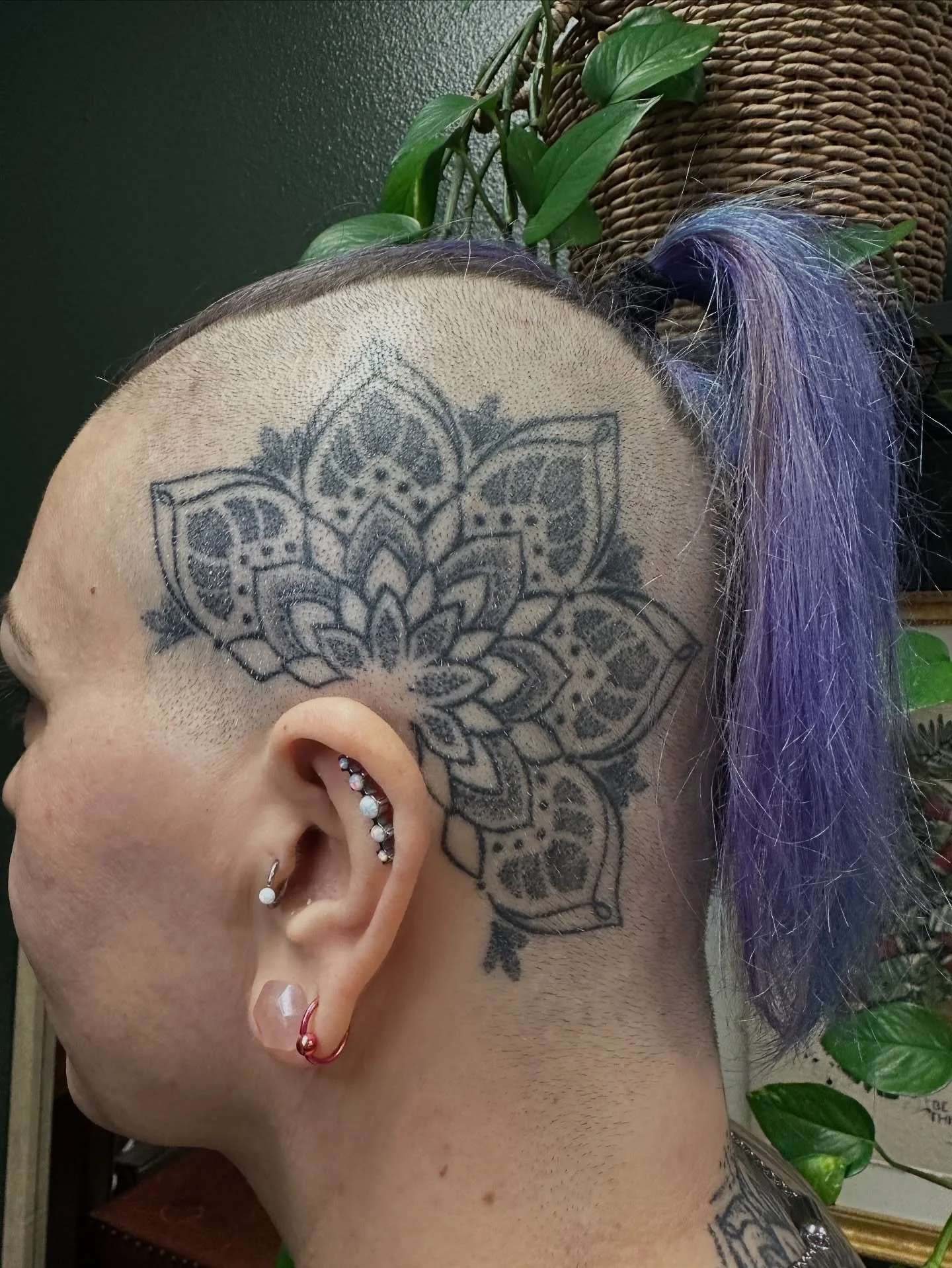 A fully healed dotwork mandala designed and tattooed by Marki. We absolutely love to see our artist&rsquo;s work as it settles and heals. If you think about it, drop by the studio and let your artist snap a photo.

If you&rsquo;d like to book your ne