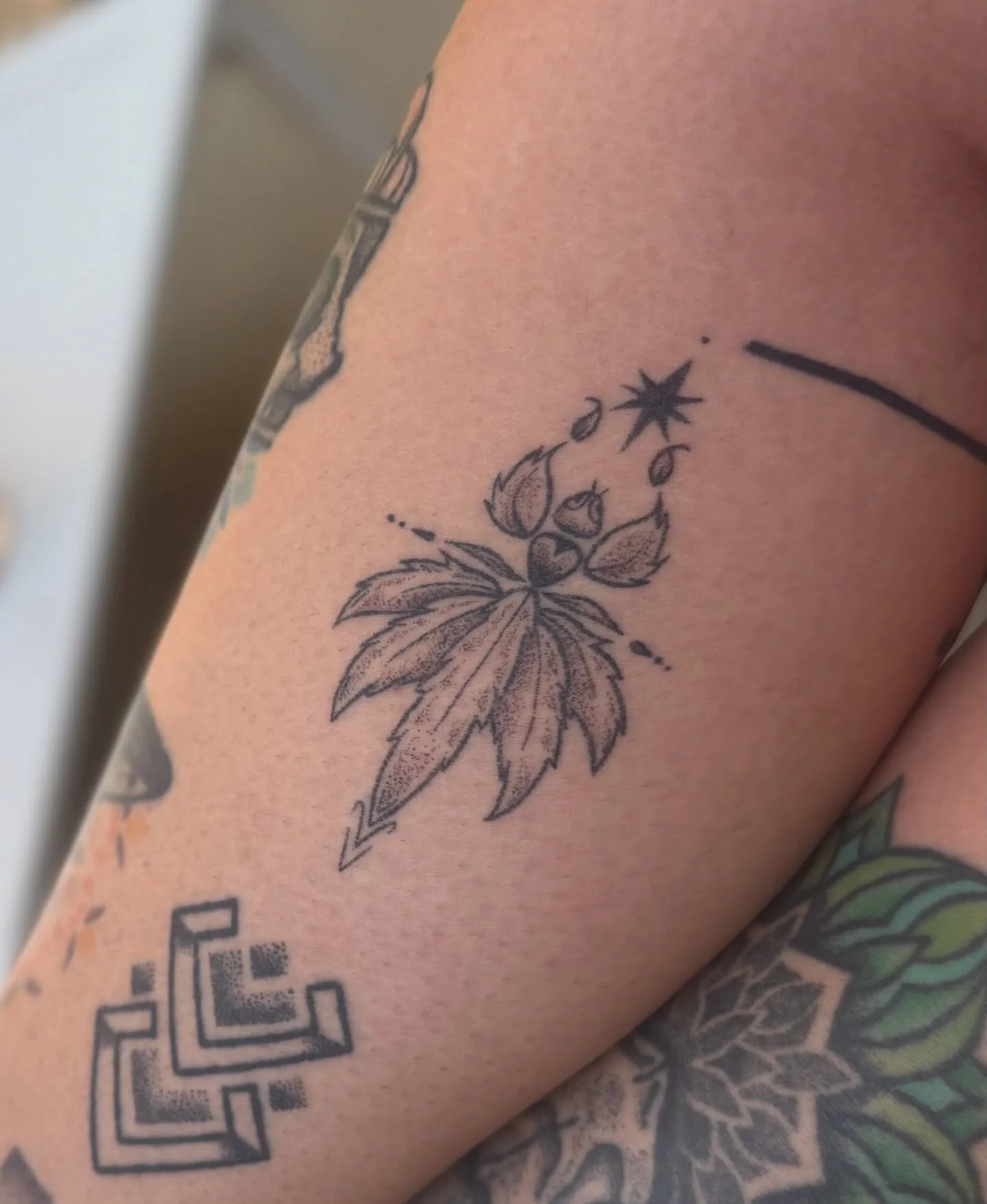 An illustrative bug designed and tattooed by our apprentice Caleigh, for Marki.

Shoot us a DM to get on the book with Caleigh at her apprentice rate. She&rsquo;s ready to work on some smaller projects for you, especially if they&rsquo;re bug or rat 