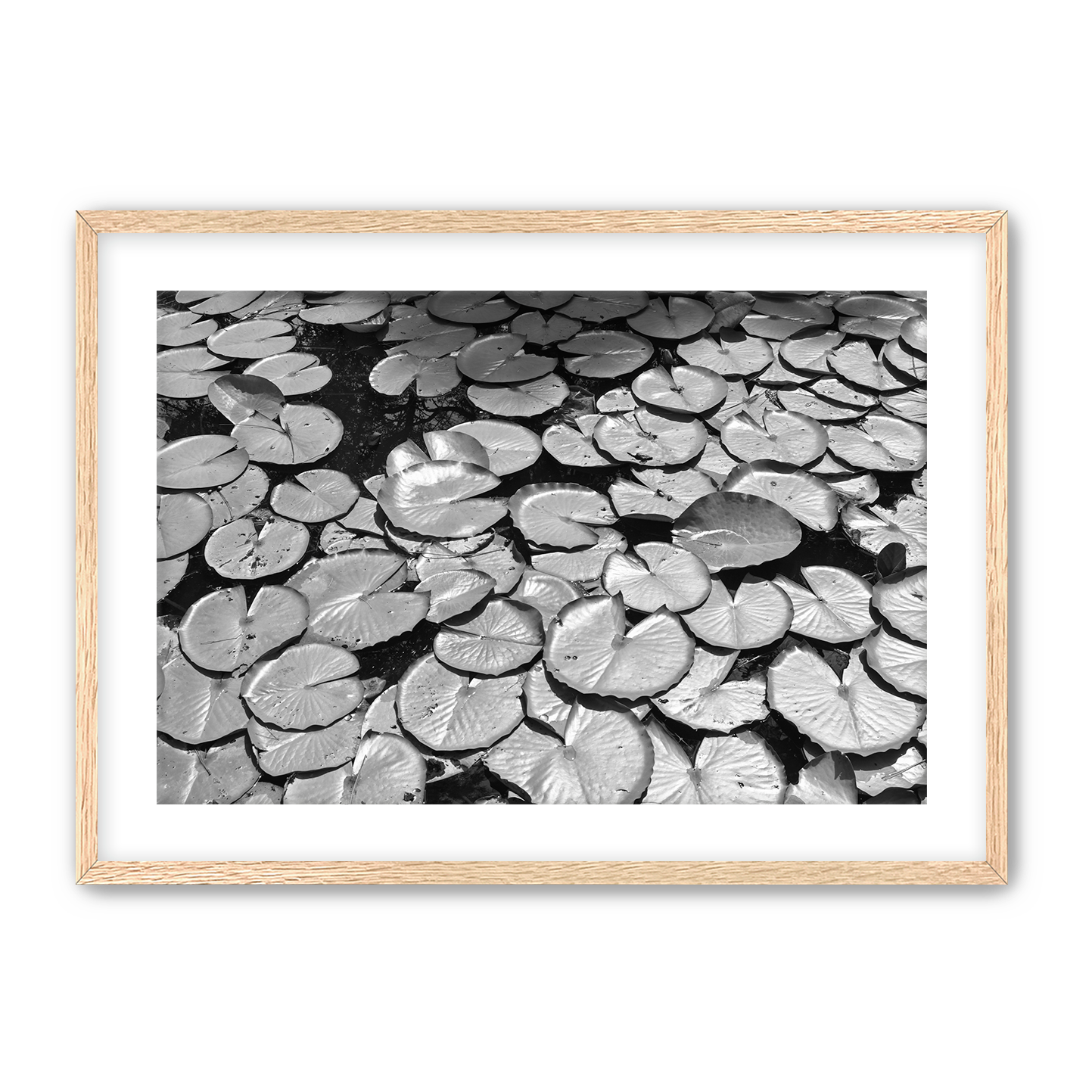 Lily+Pads+2+Natural+Frame.png