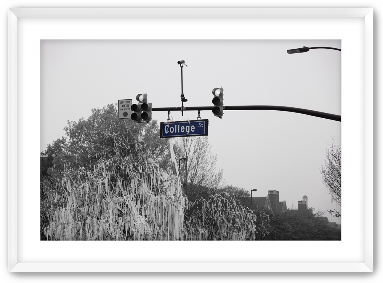 college street sign in black and white with toilet paper in the background from and Auburn victory