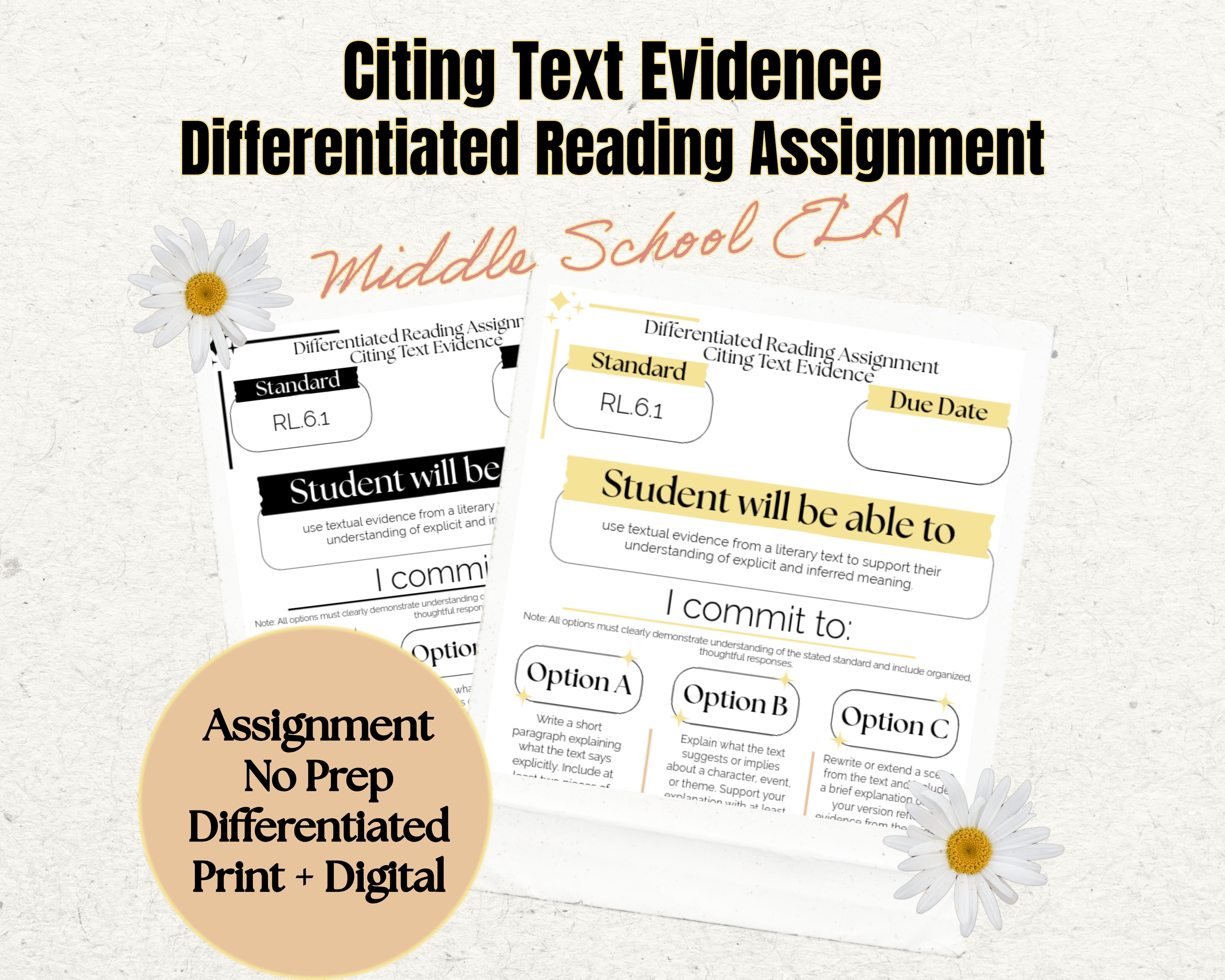 Citing Text Evidence Assignment | RL.6.1 | 6th Grade ELA | Student Choice Activity | No Prep Print & Digital