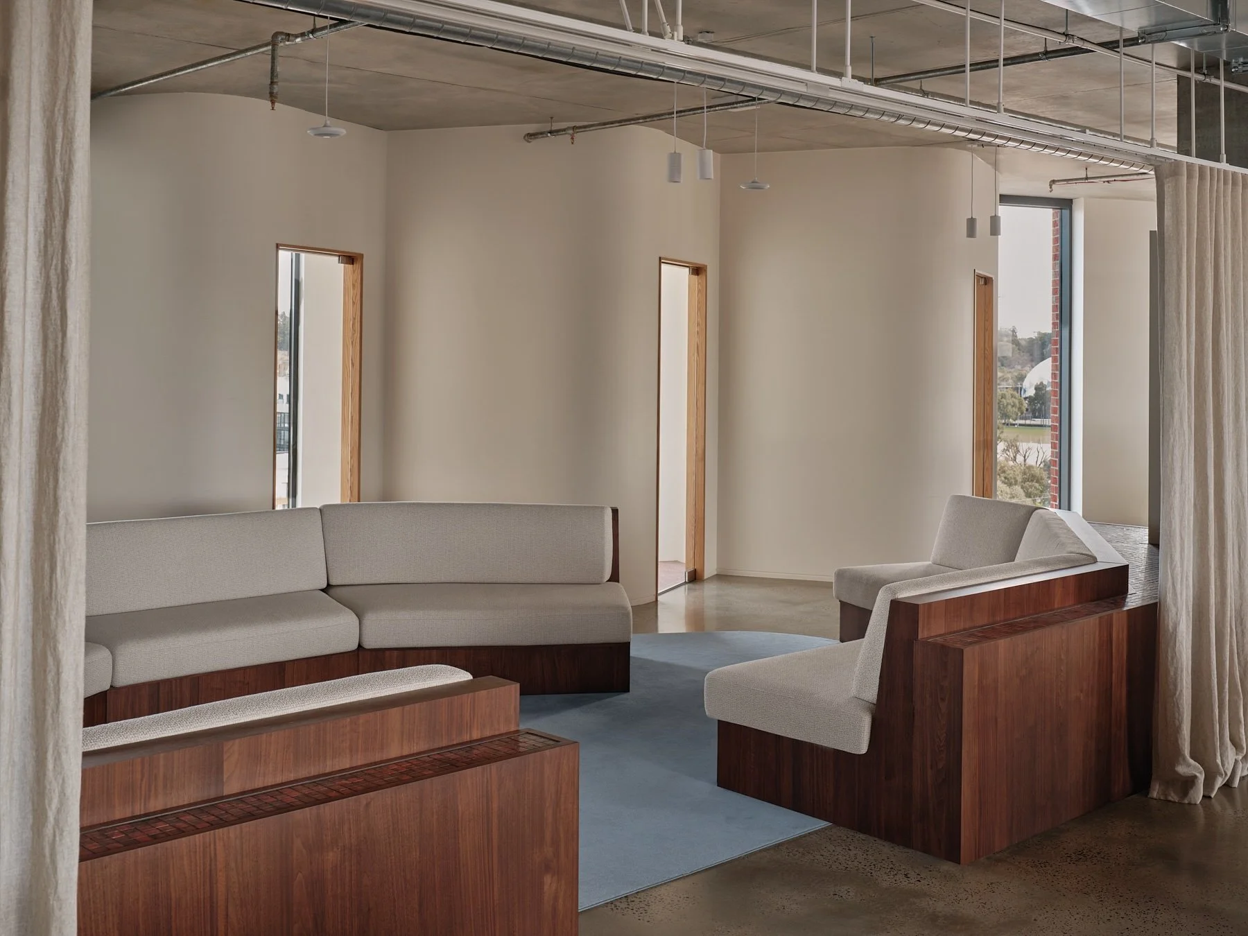 Custom curved timber lounge seating with light upholstered cushions around a blue rug at Programa HQ, beneath exposed concrete ceilings in Richmond, Melbourne.