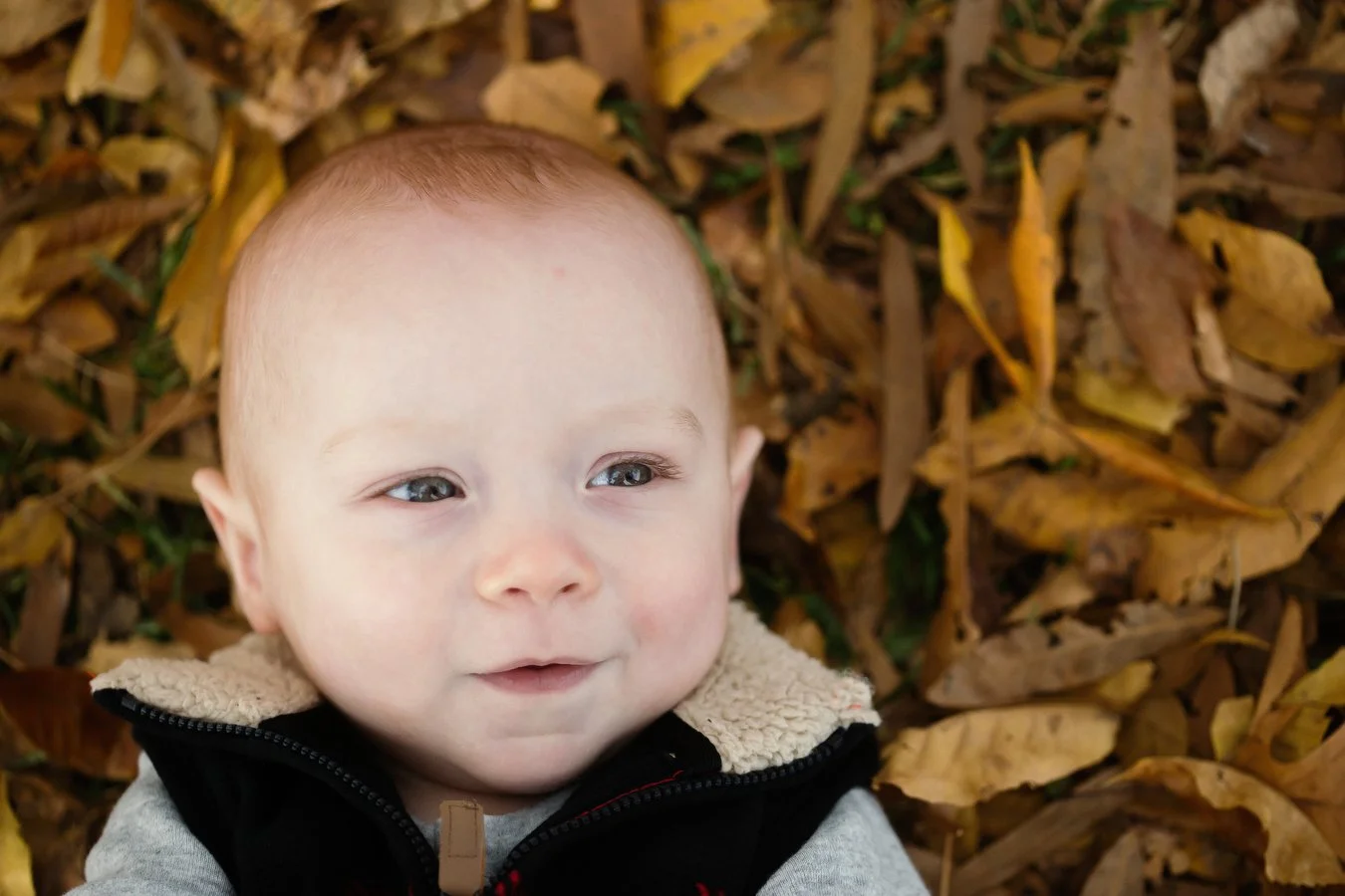 raleighbabyphotographer_032.JPG
