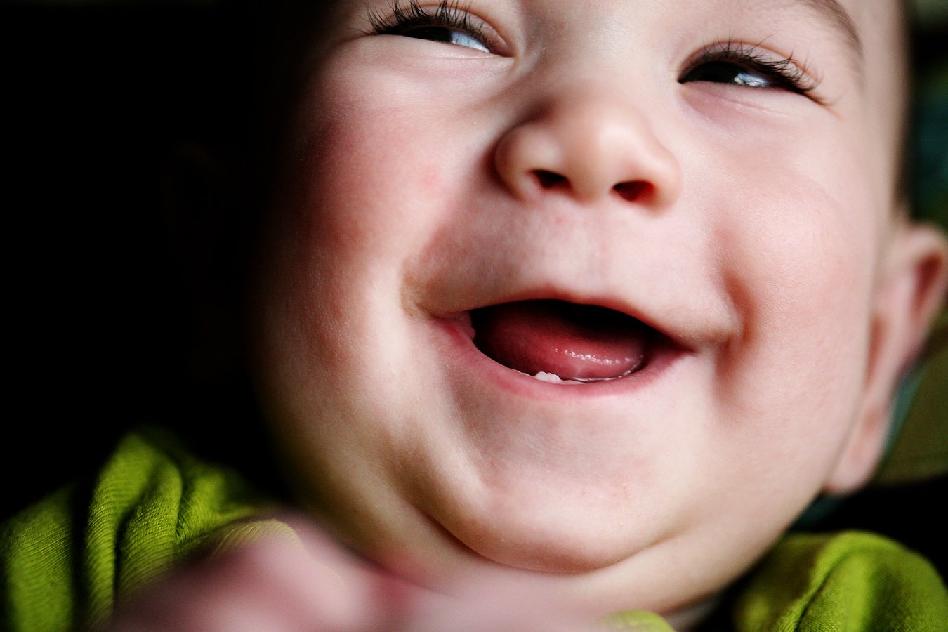 raleighbabyphotographer_017.JPG