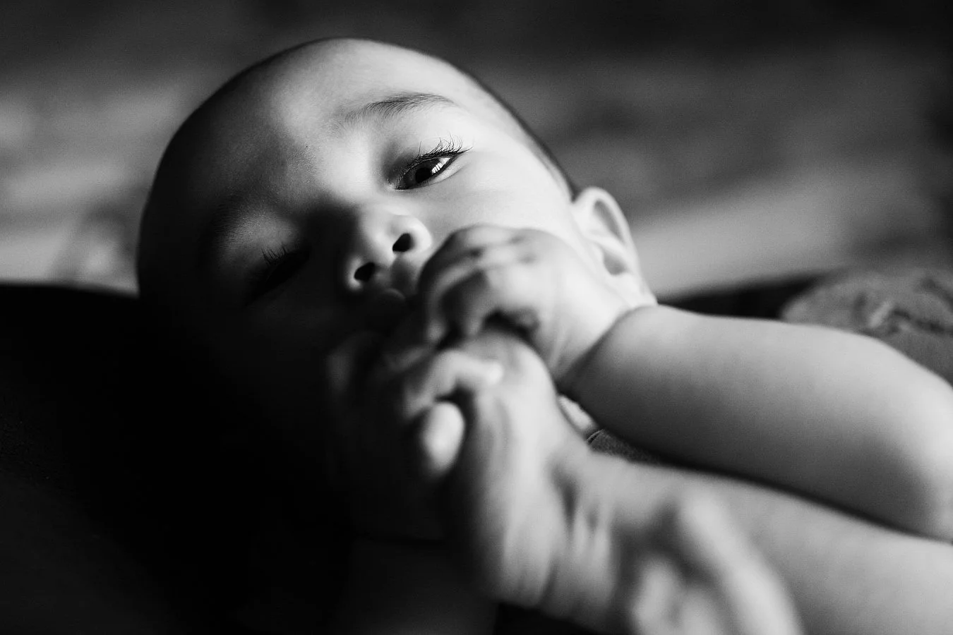raleighbabyphotographer_016.JPG