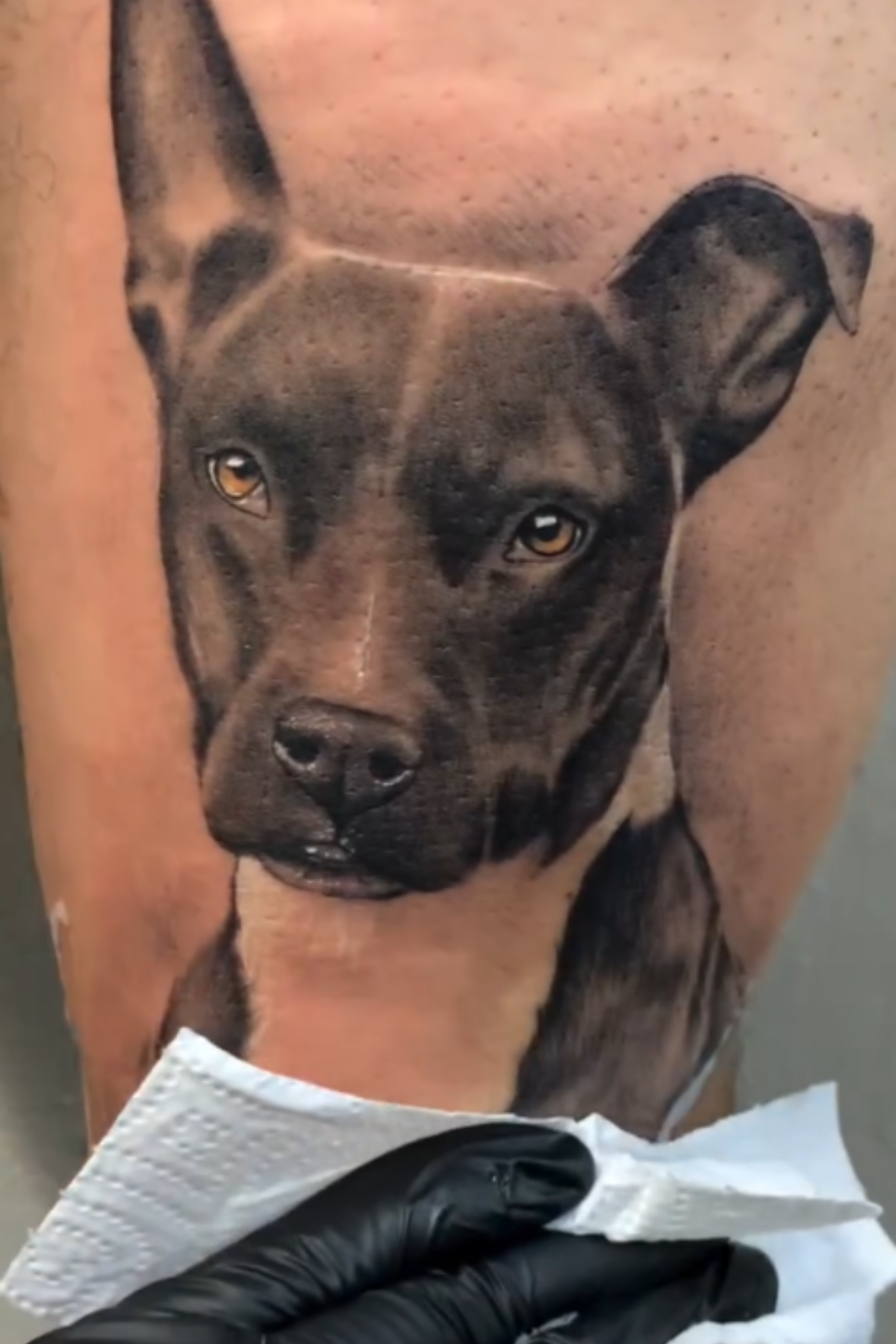 Realistic dog portrait tattoo by Ajay