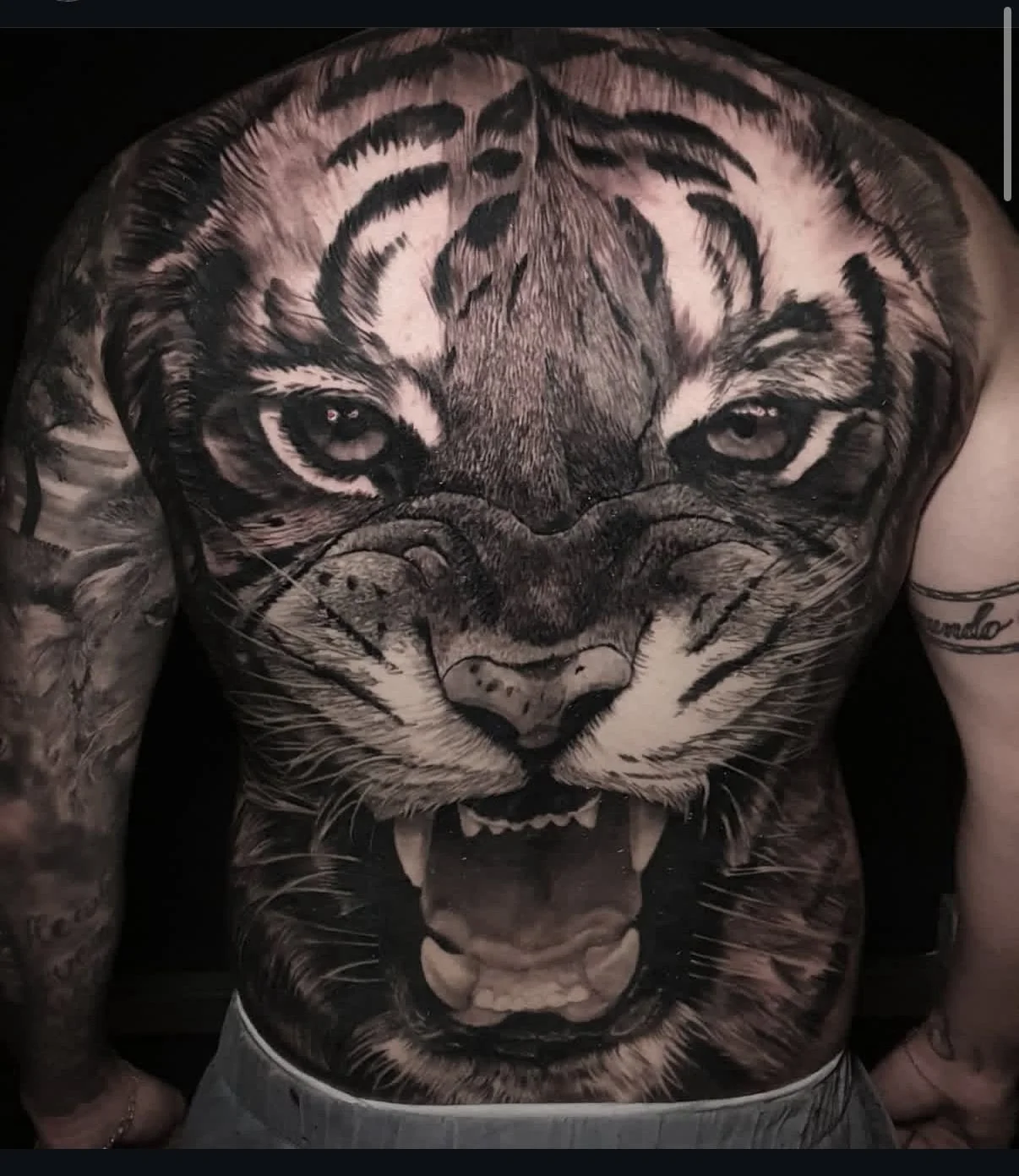 Black and gray realistic tiger chest tattoo by Macu at Salvation Tattoo Lounge Miami Beach