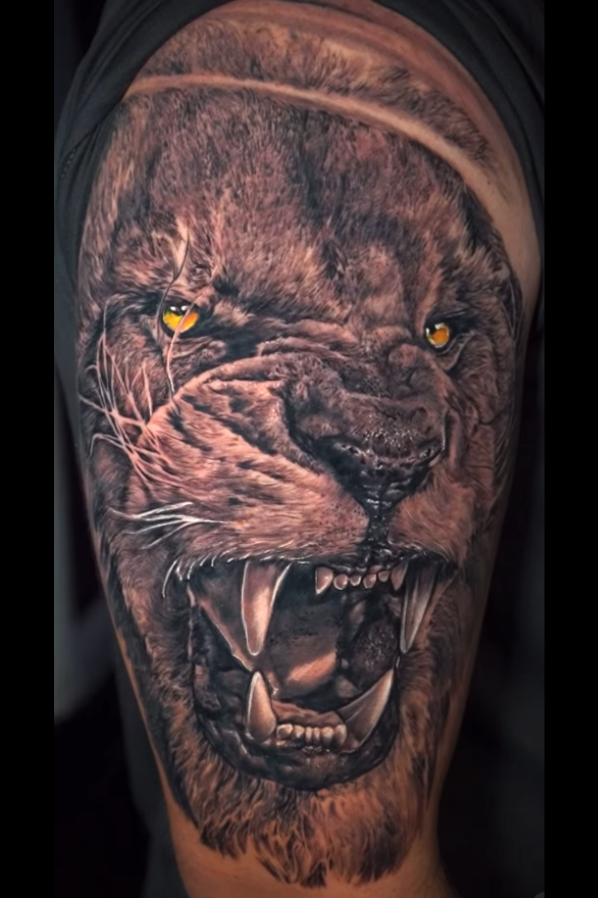 Realistic lion tattoo by Axel