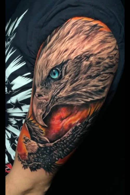 Realistic color eagle tattoo by Axel at Salvation Tattoo Lounge in Coral Springs