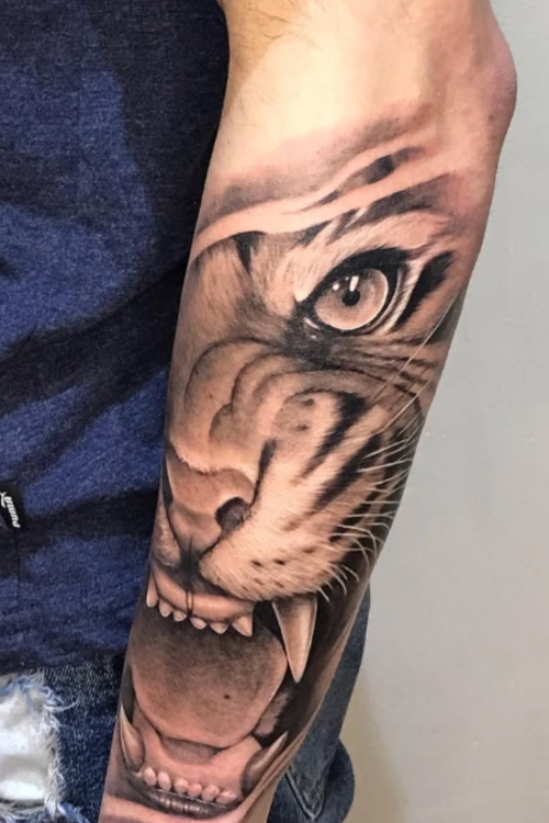 Realistic tiger tattoo by Ajay at Salvation Tattoo Lounge in Coral Springs