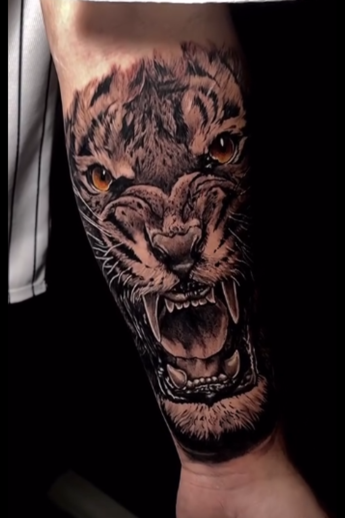 Realistic tiger tattoo by Axel