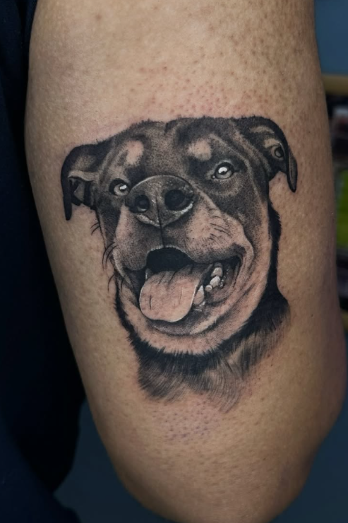 Pet portrait tattoo by Ajay