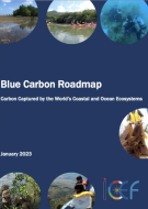 ICEF Blue Carbon Roadmap Executive Summary &amp; Recommendations