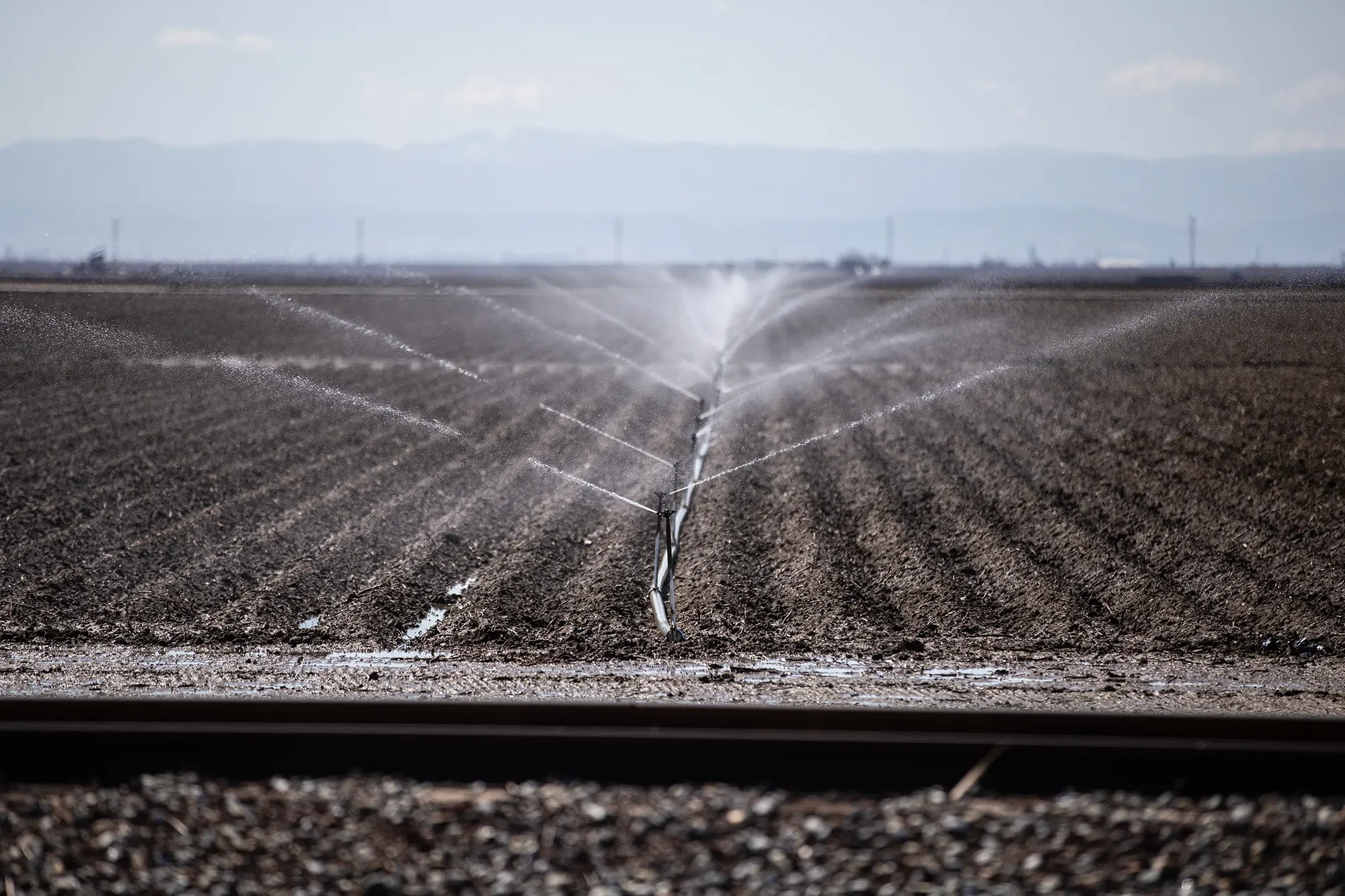California’s future water supplies depend on the outcomes of four intertwined battles