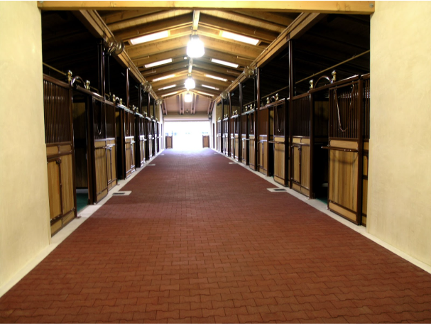 How Thick Does a Horse Barn Floor Need to Be?