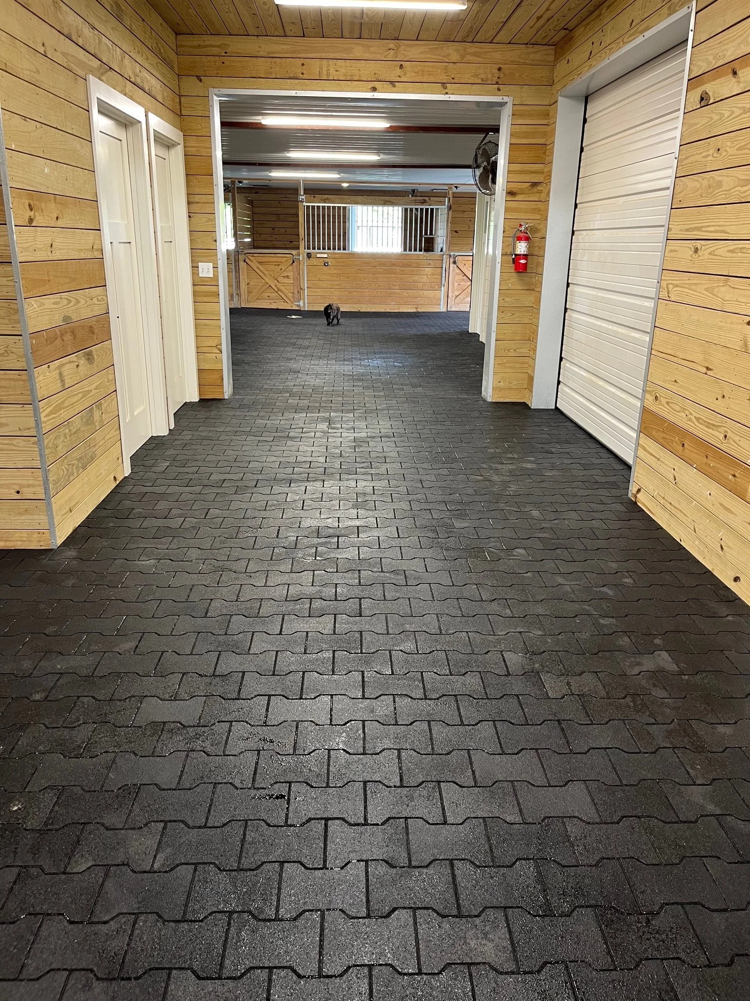 Rubber Flooring for Horse Barns: Why More Facilities Are Switching to Rubber Pavers