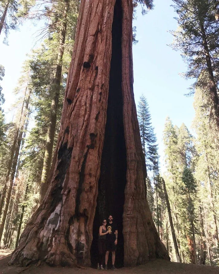 Sequoia National Park 