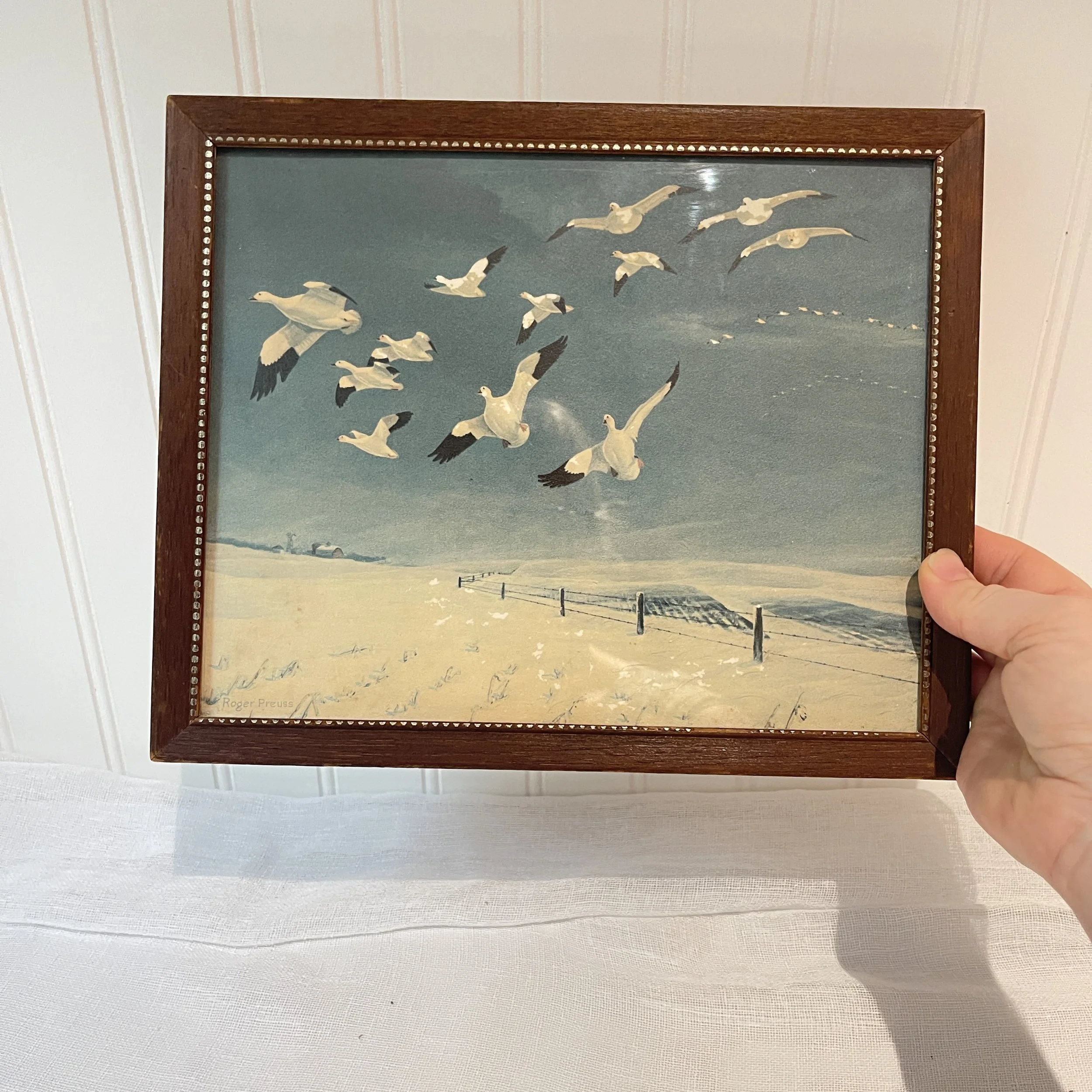 Vintage Framed Roger Preuss Seagull Lithograph Wall Art